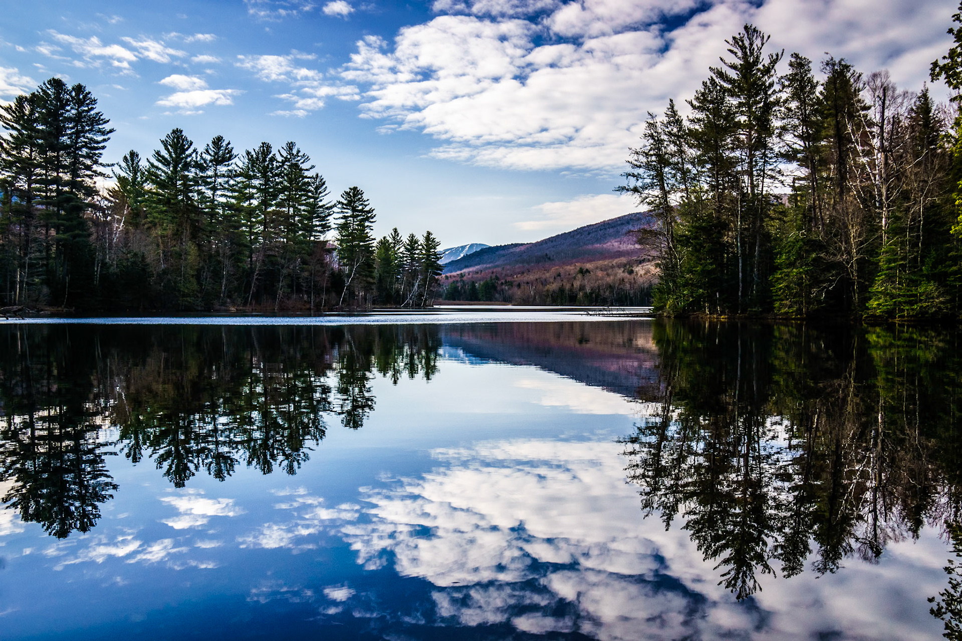 "Leffert's Pond Morning" --Chittenden