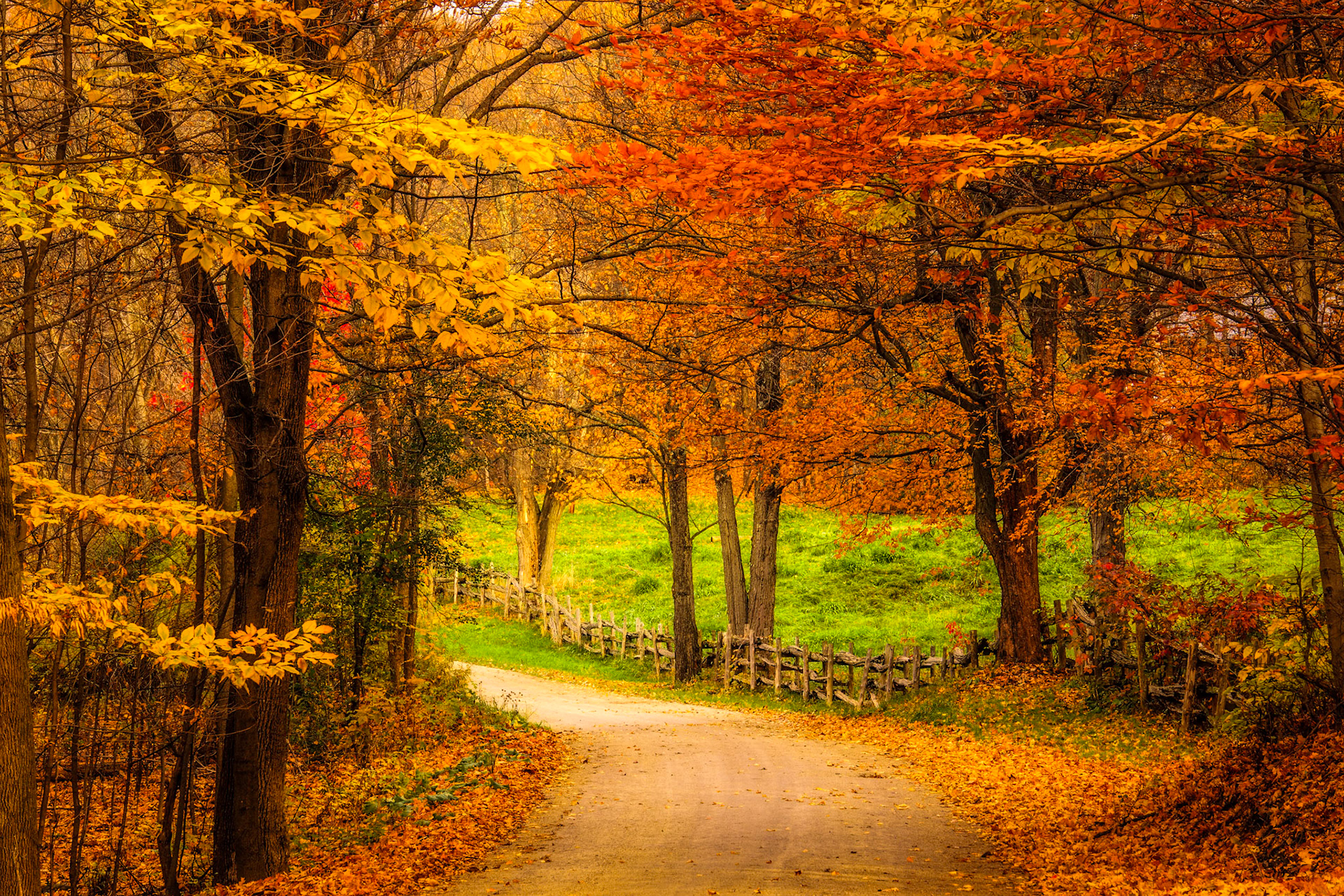 "Around the Bend" --Orwell