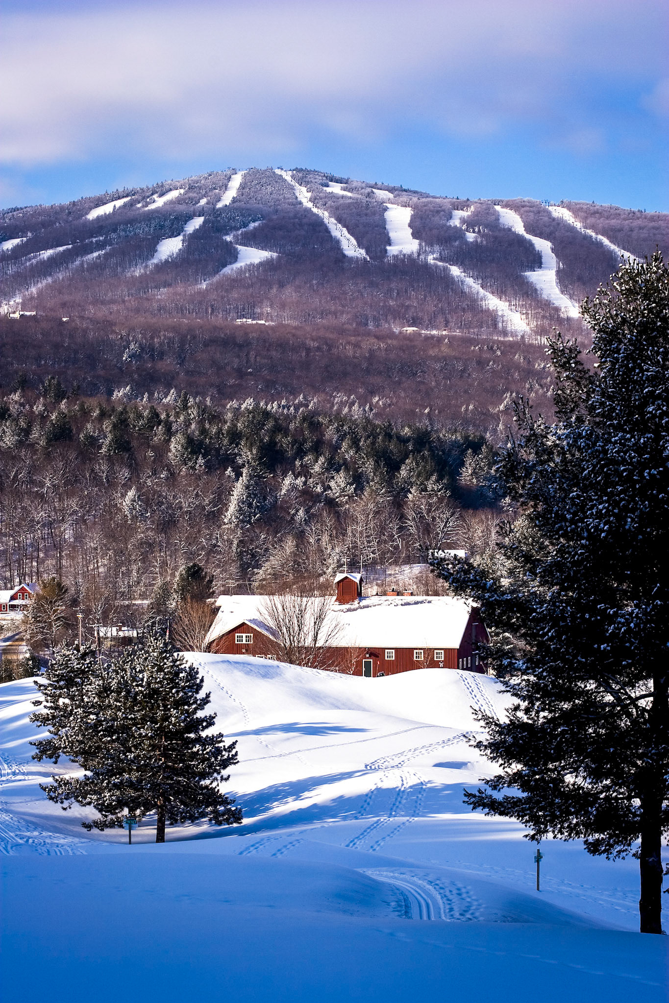 "Ski Morning" --Okemo, Ludlow