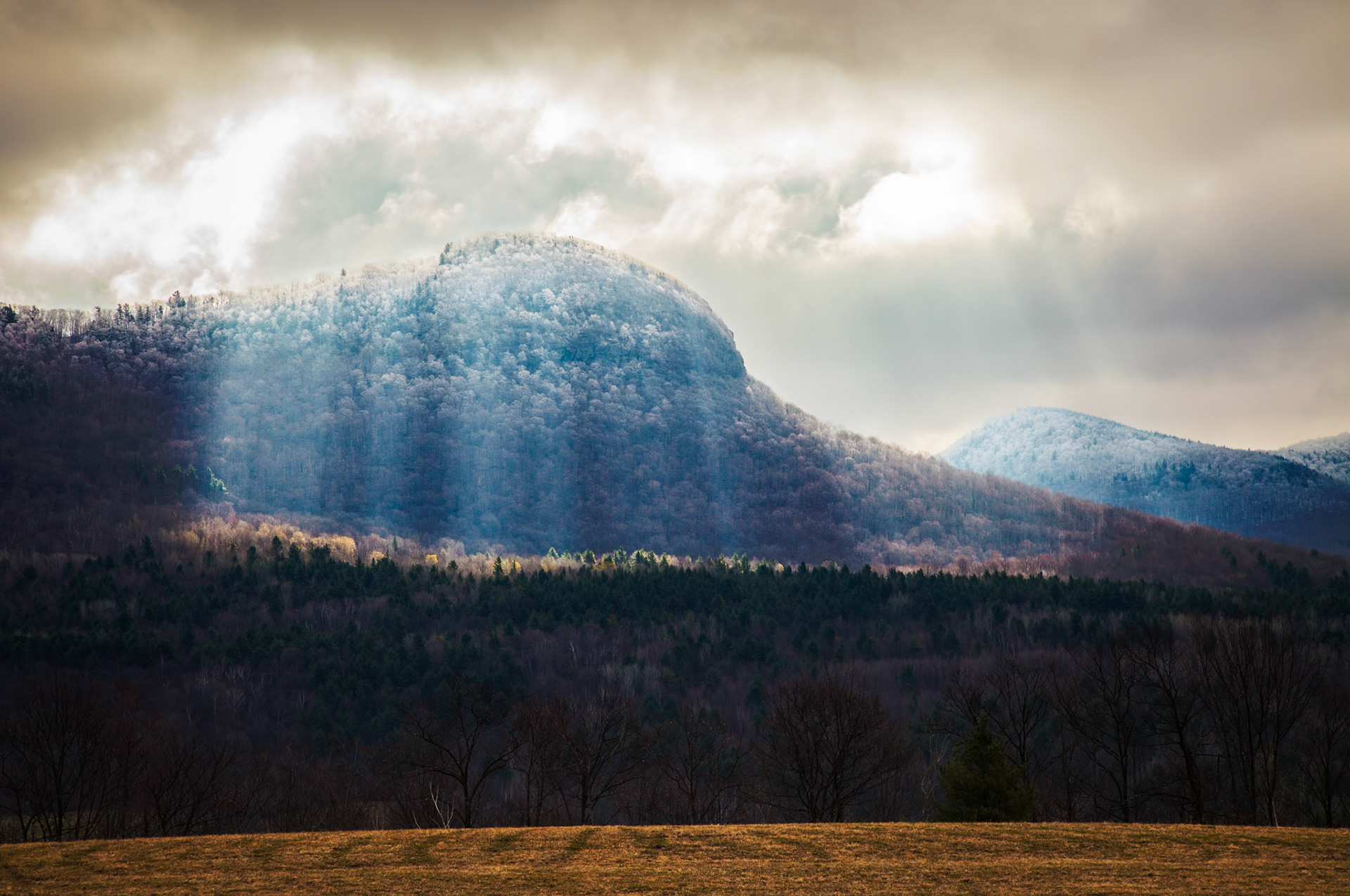 "Bird Mountain Sunbeams" --Castleton