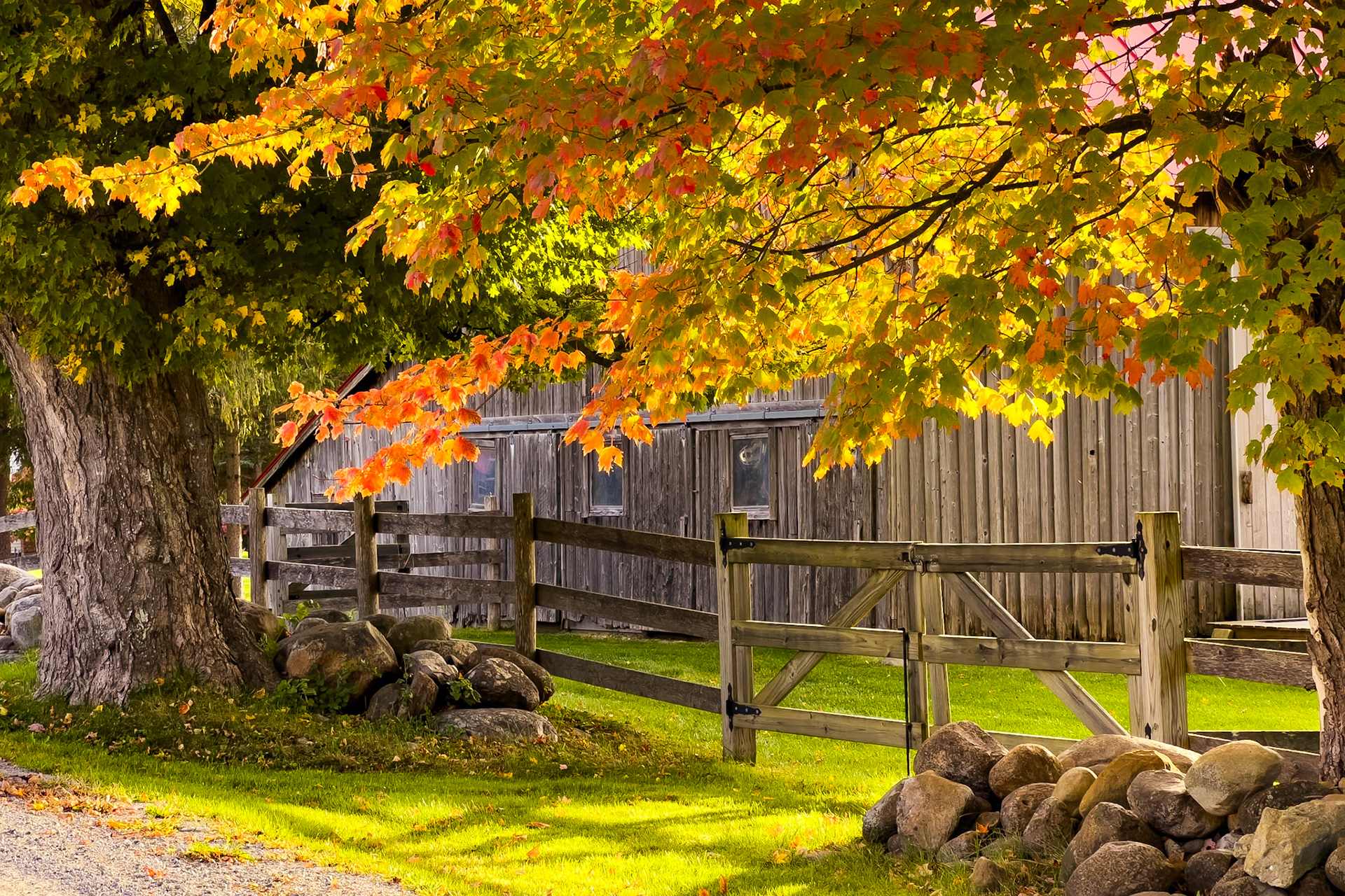 "Foliage and Fence" --Wallingford