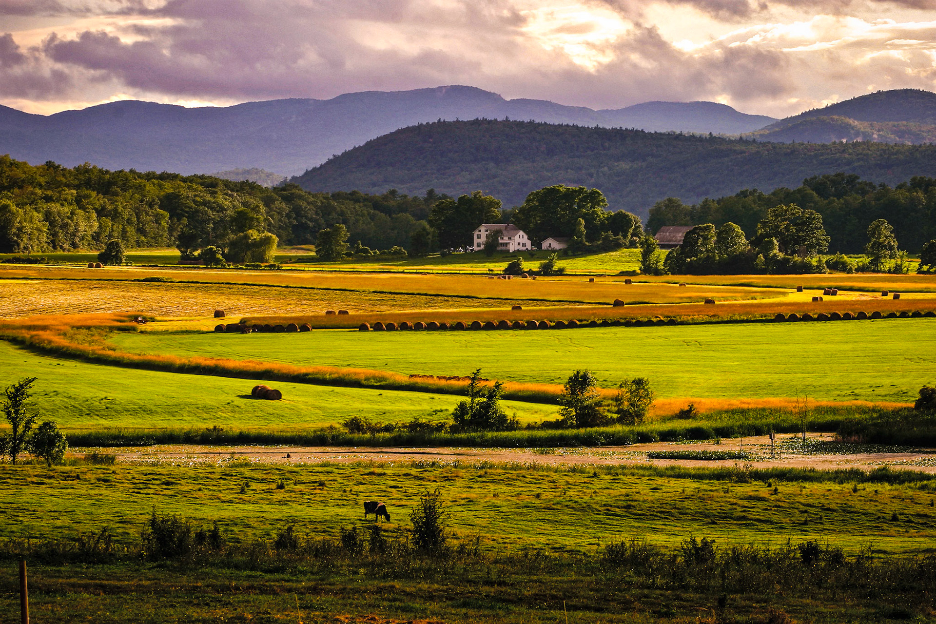 "Place in the Country" --Orwell