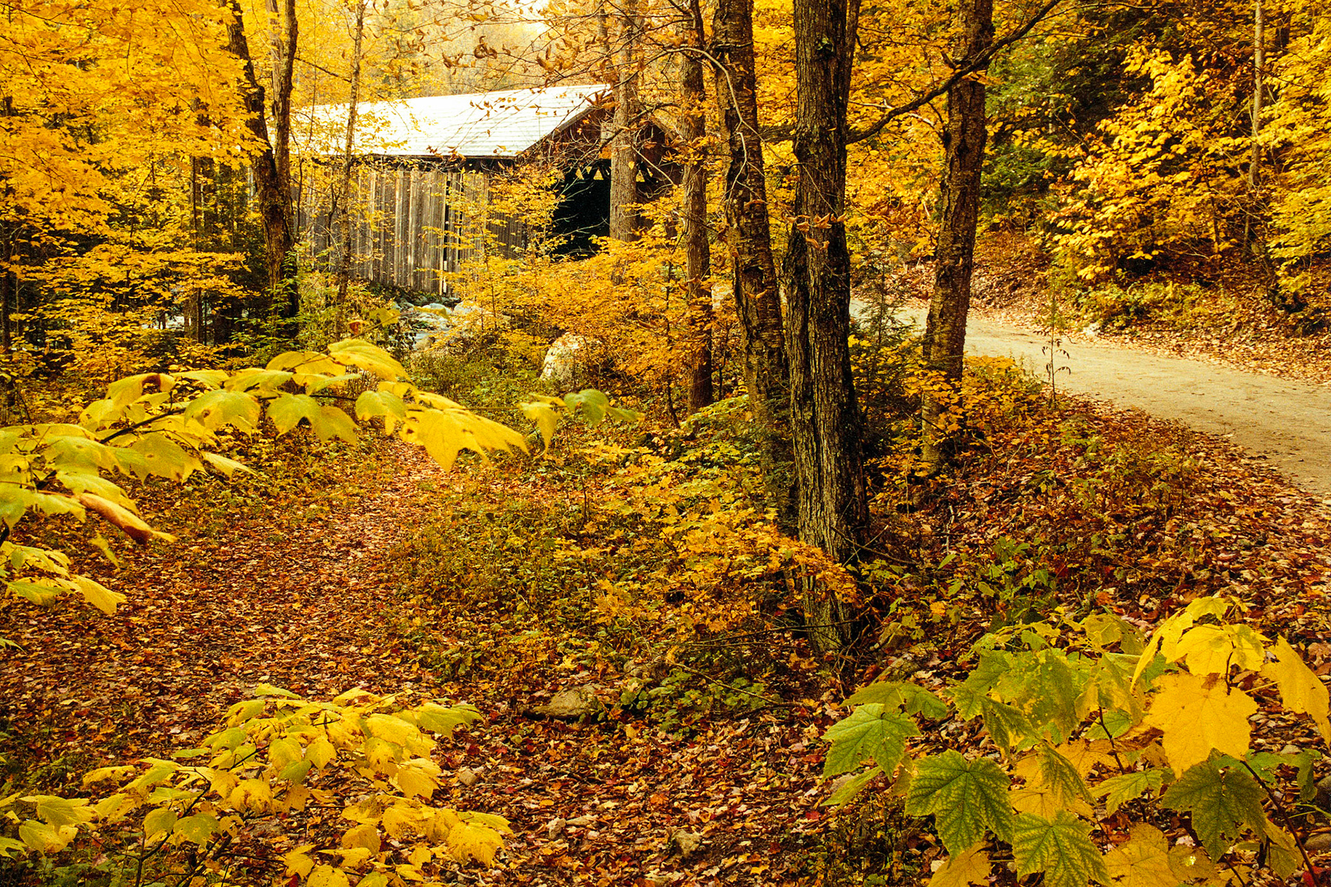 "Bridge Through the Wood" --Shrewsbury