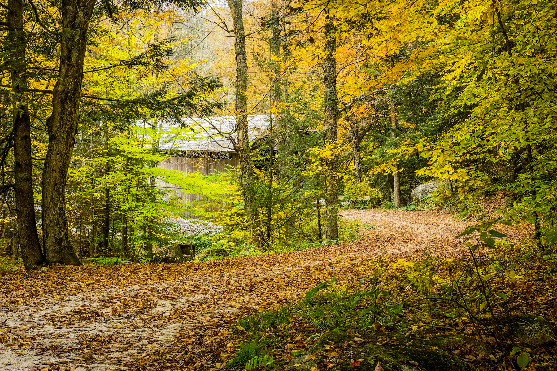 "Winding Road" --Shrewsbury