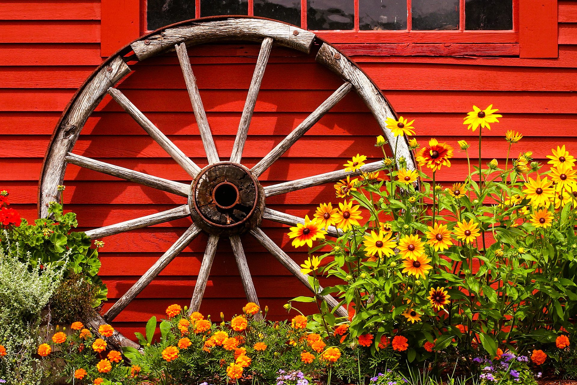"Back Garden" --Bristol, NH