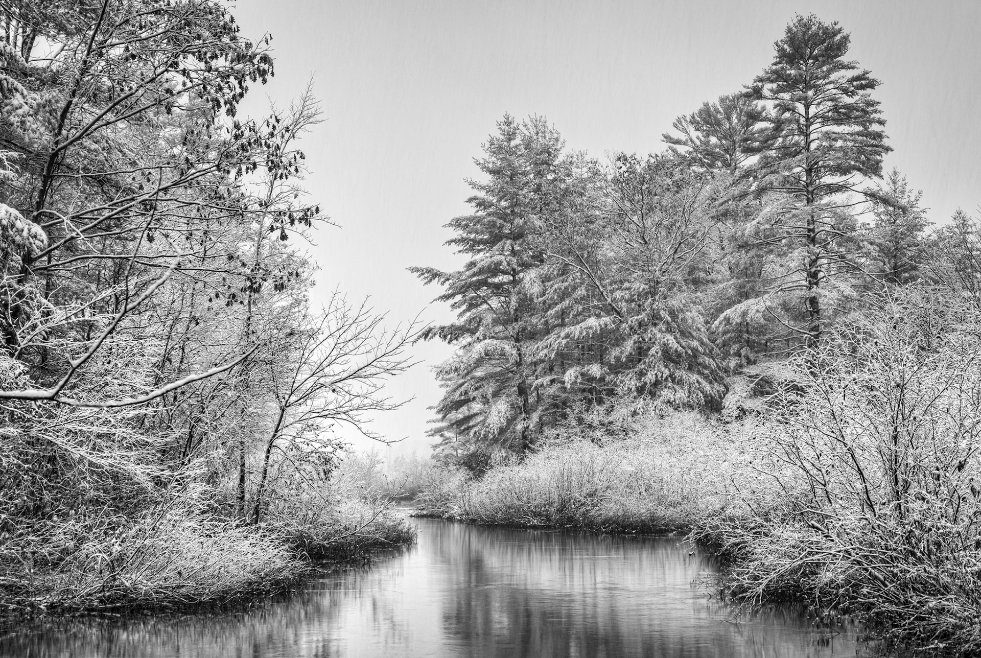 "First Snow" --Tinmouth