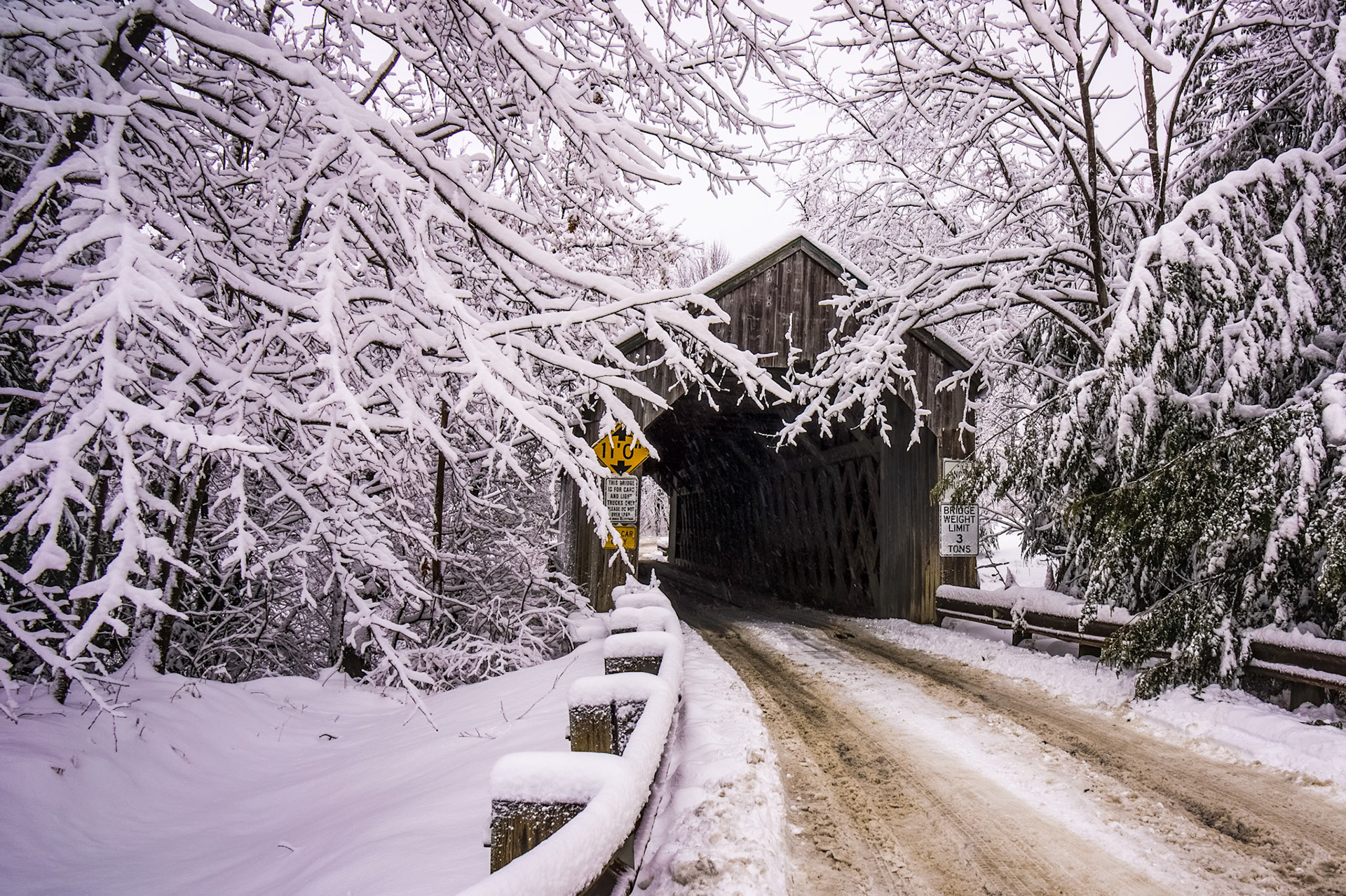 "Through the Snow" --Clarendon