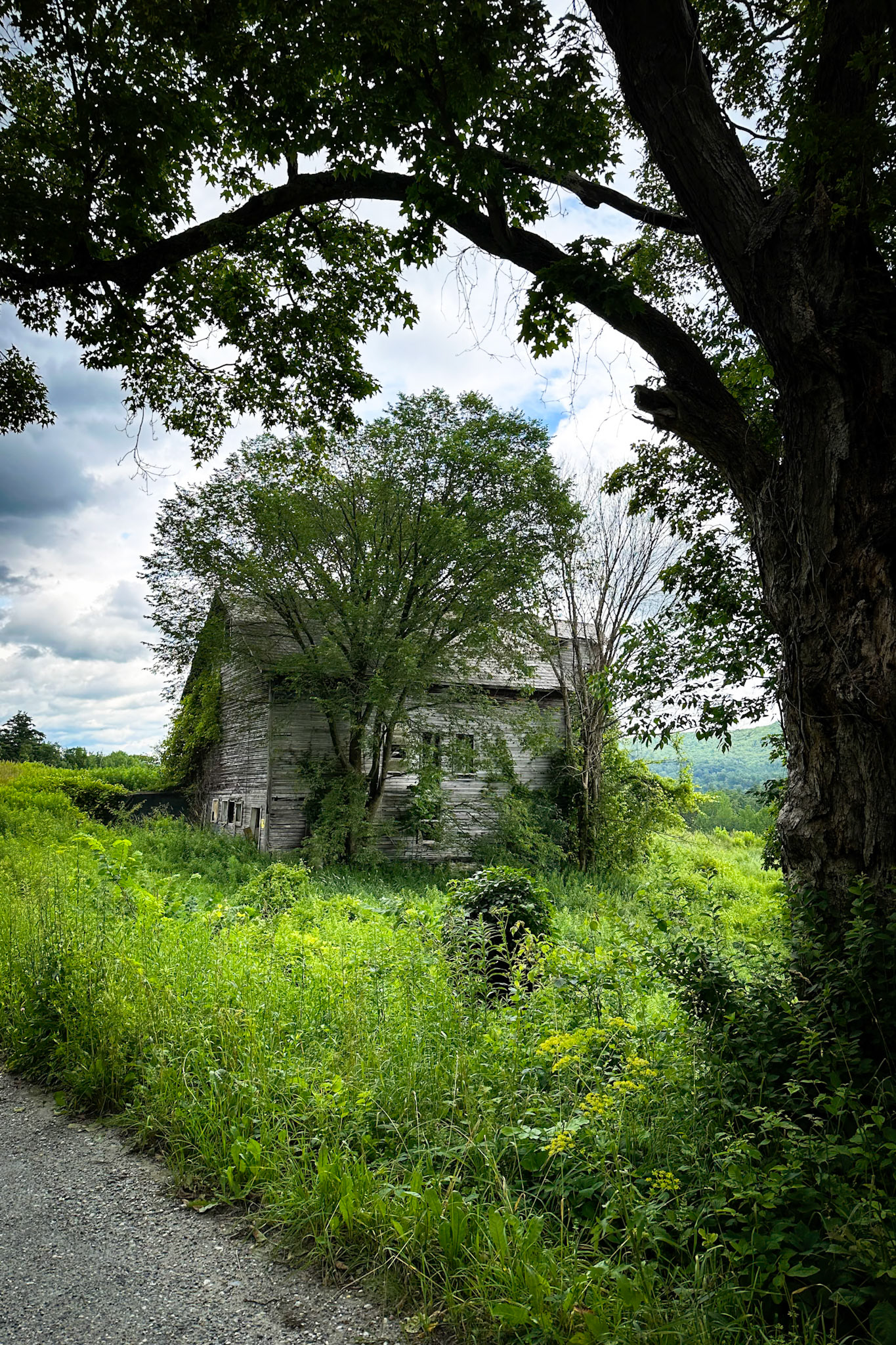 "Hillside Barn" --Tinmouth