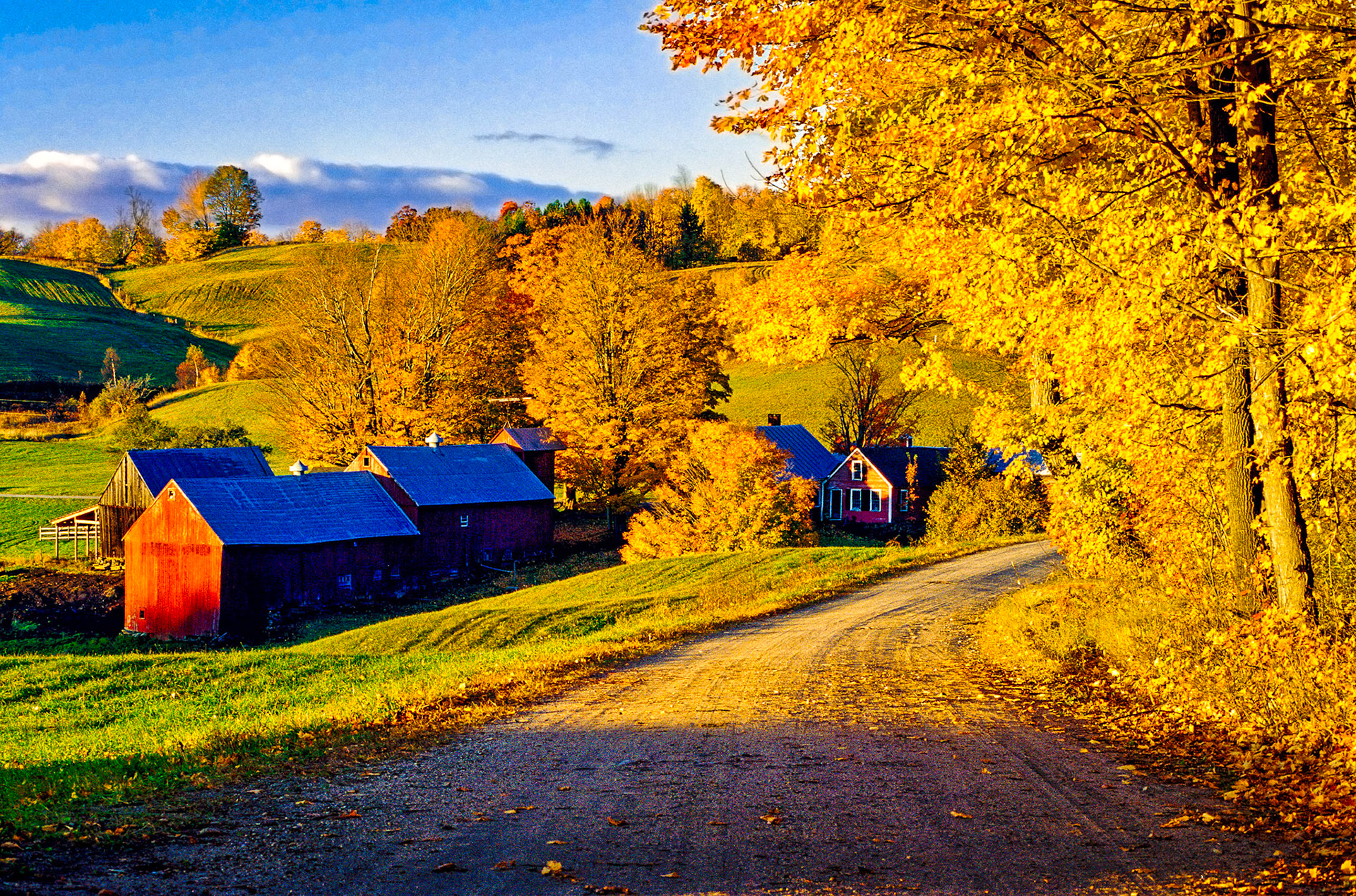 "Jenne Farm Autumn" --Reading