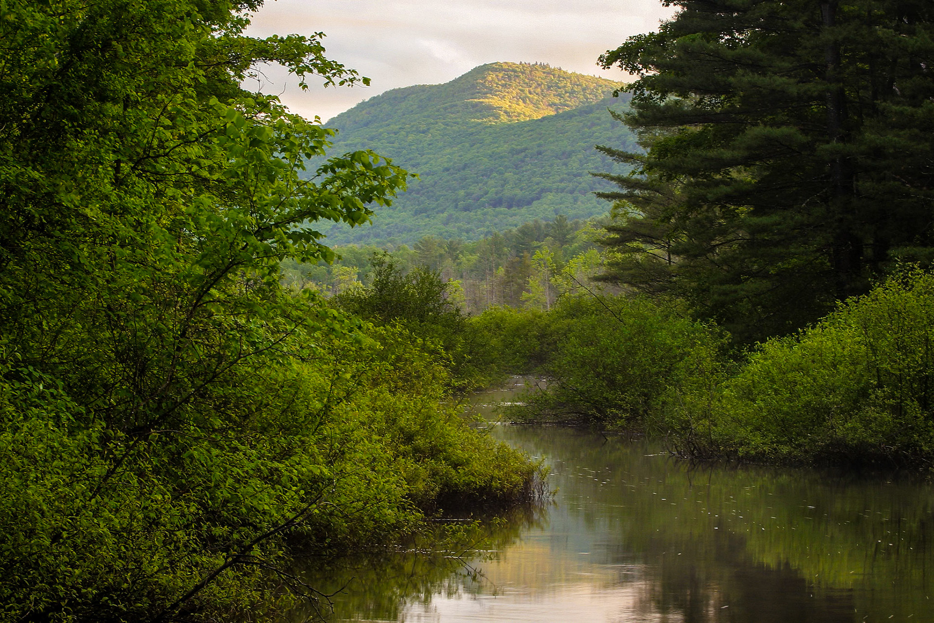 "Creekside View" --Tinmouth Channel