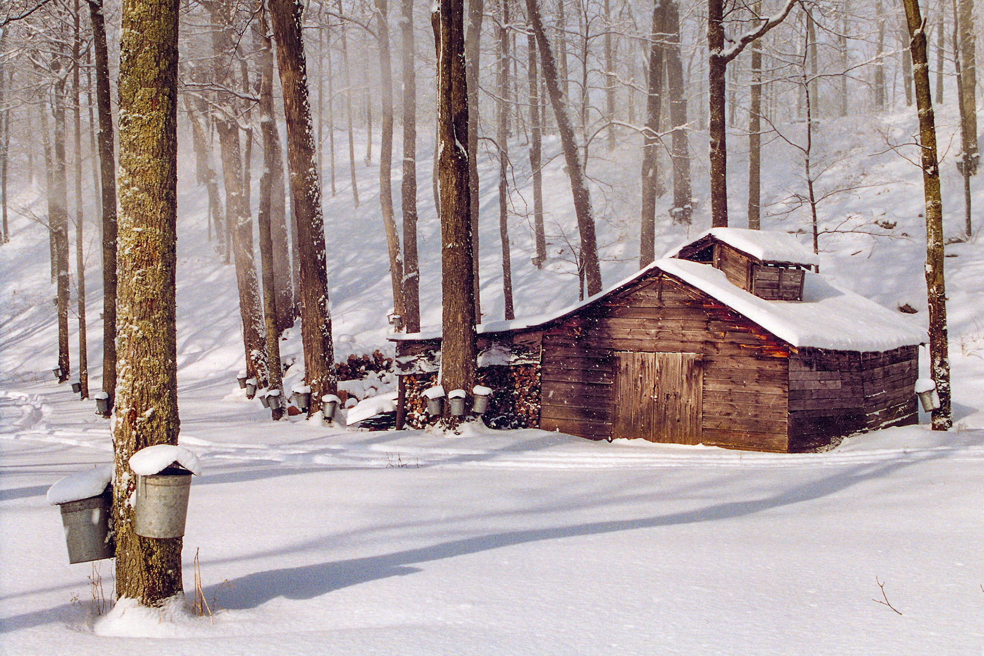 "Sugarin' Season" --Mendon