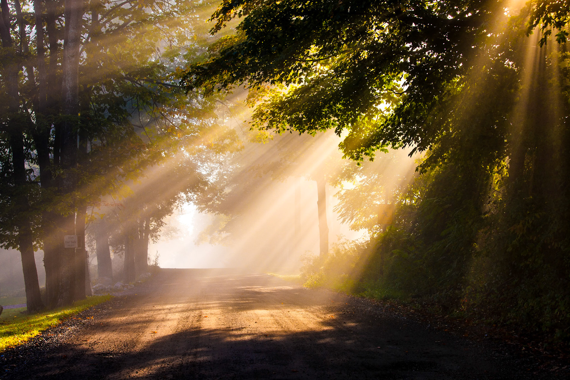 "Foggy Morning Sunshine" --West Rutland