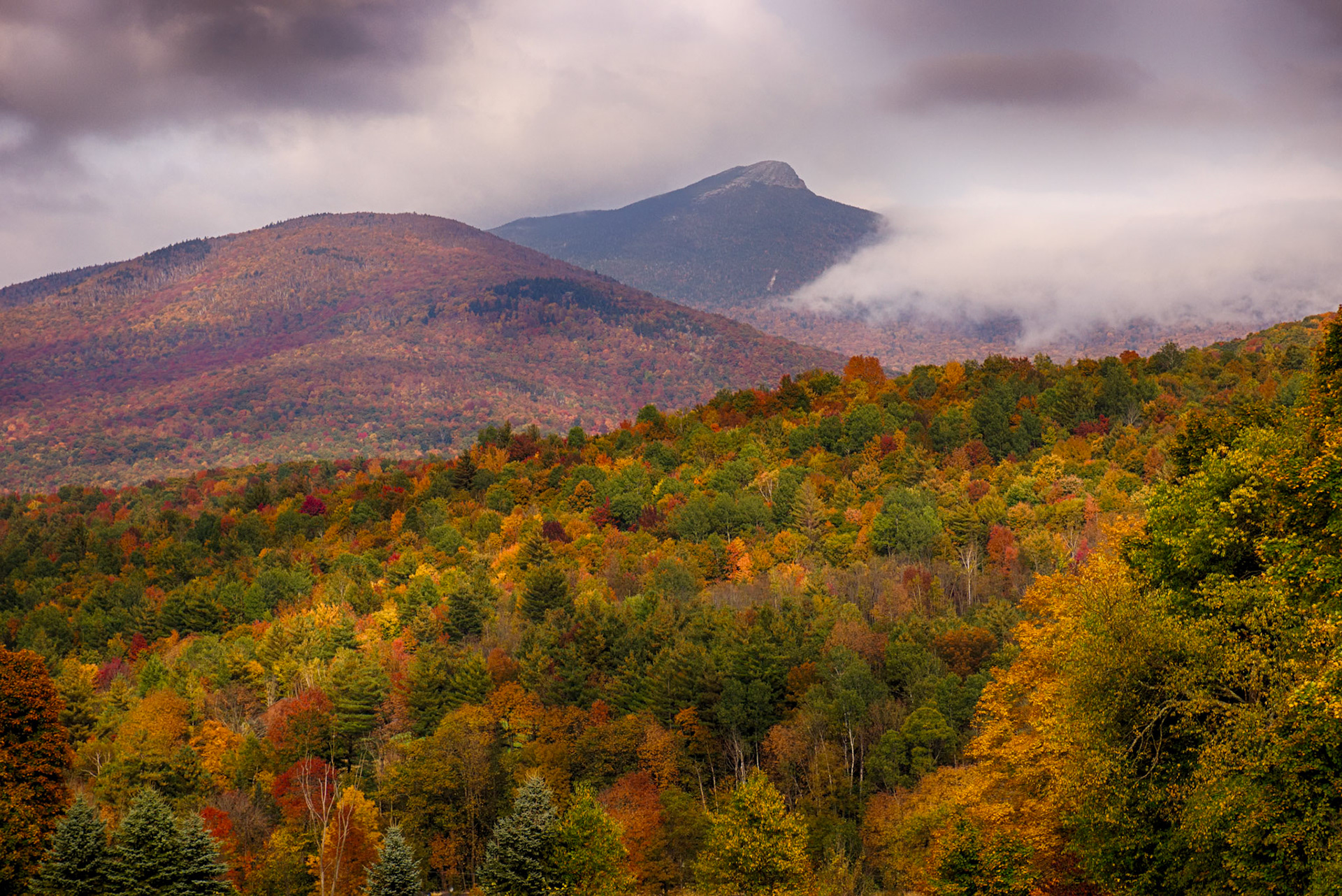 "Camel's Hump Foliage" --Huntington