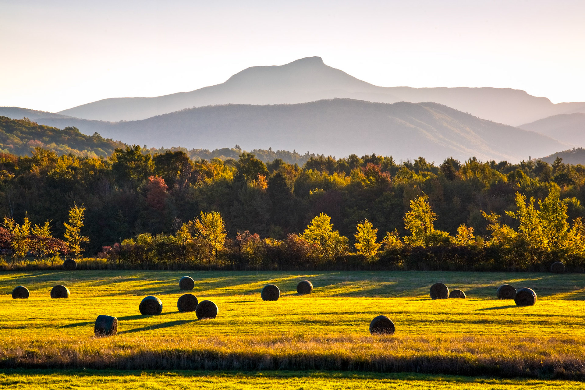 "Camel's Hump Meadow" --North Ferrisburgh