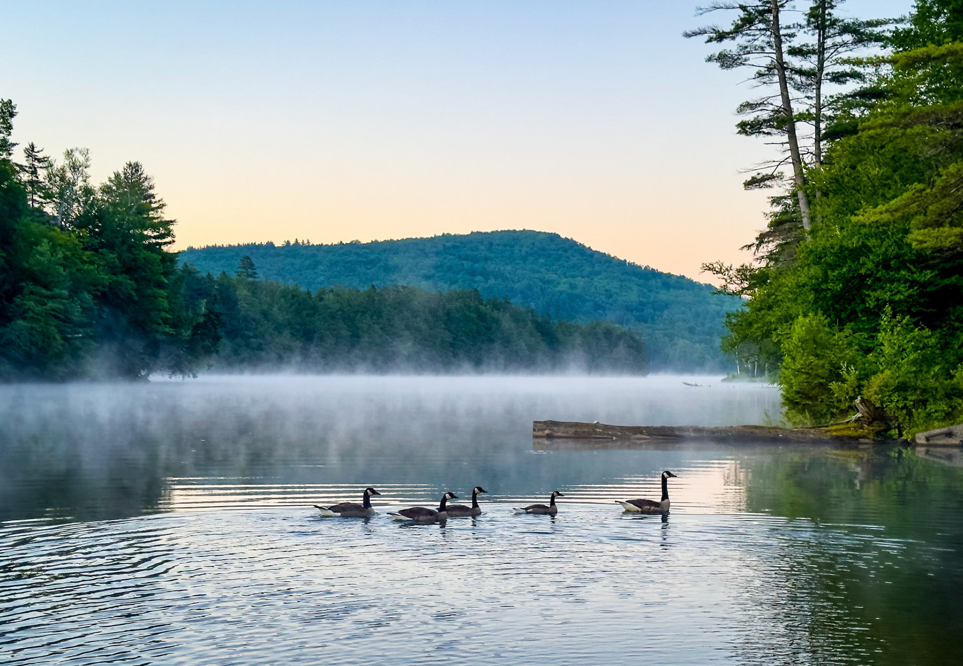 "Morning Lineup"
