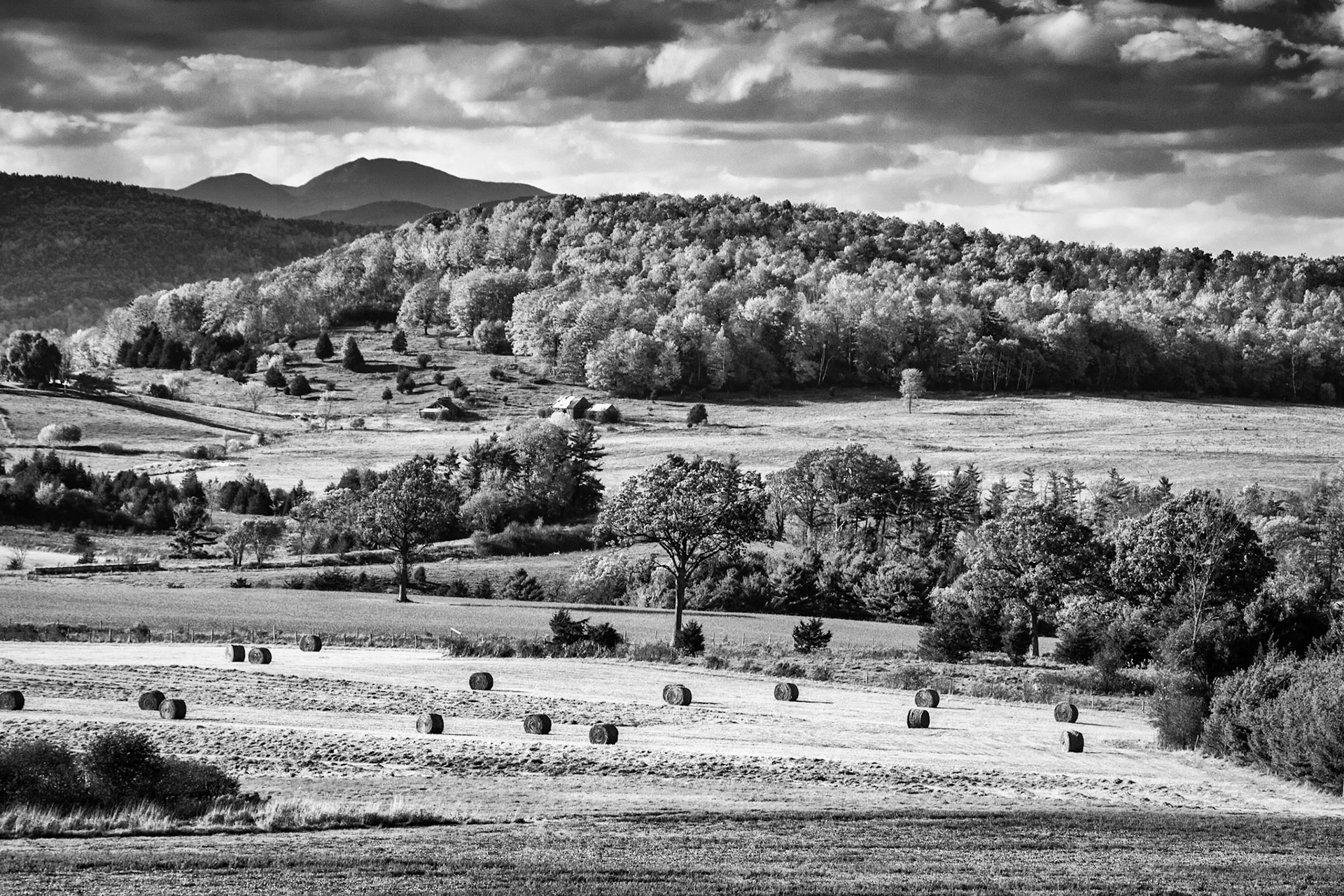 "Meadow Land" --Orwell