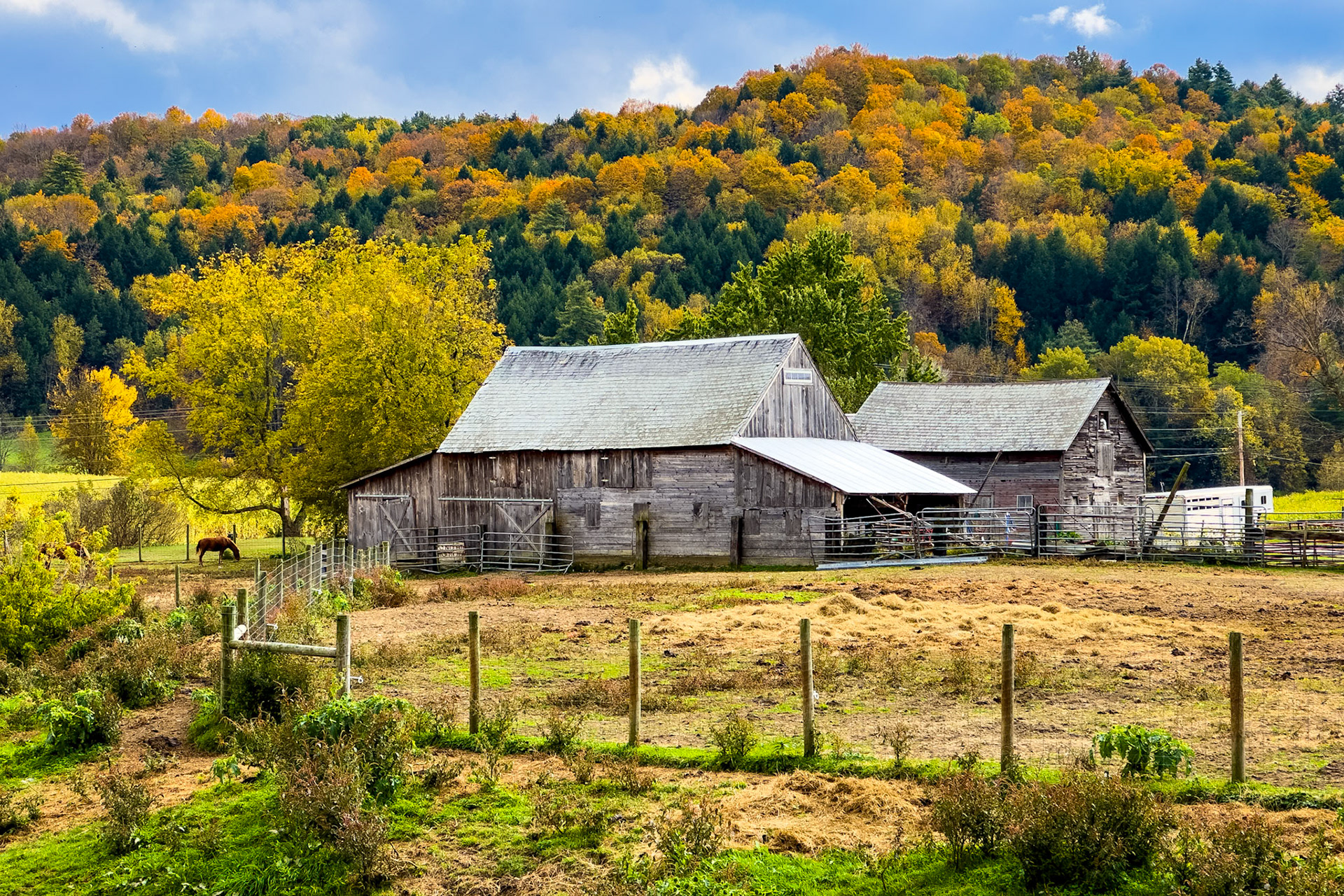 "Fall Barnyard" --Castleton