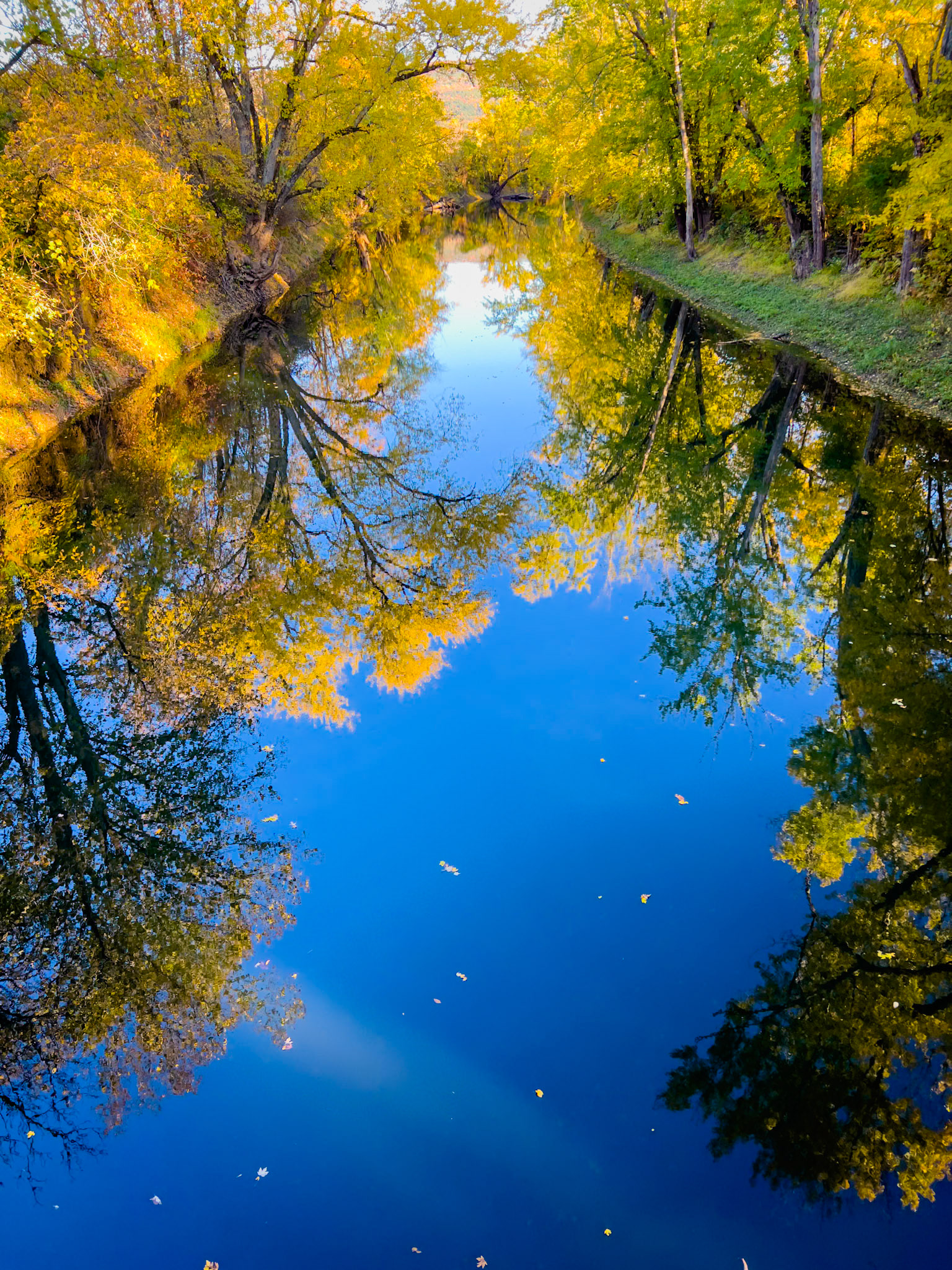 "Otter Creek Foliage" --Pittsford
