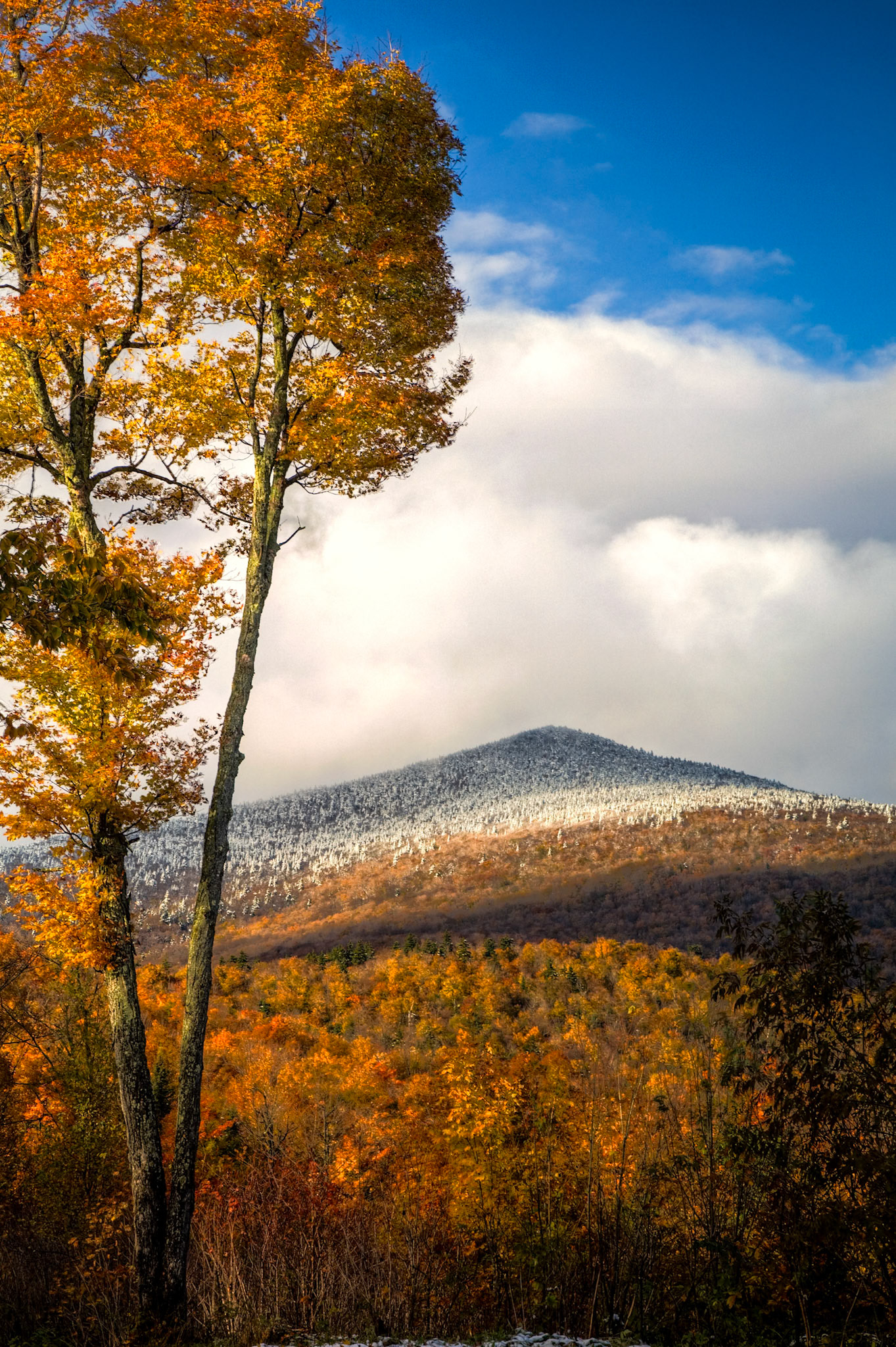 "Snow Capped Peak" --Shrewsbury