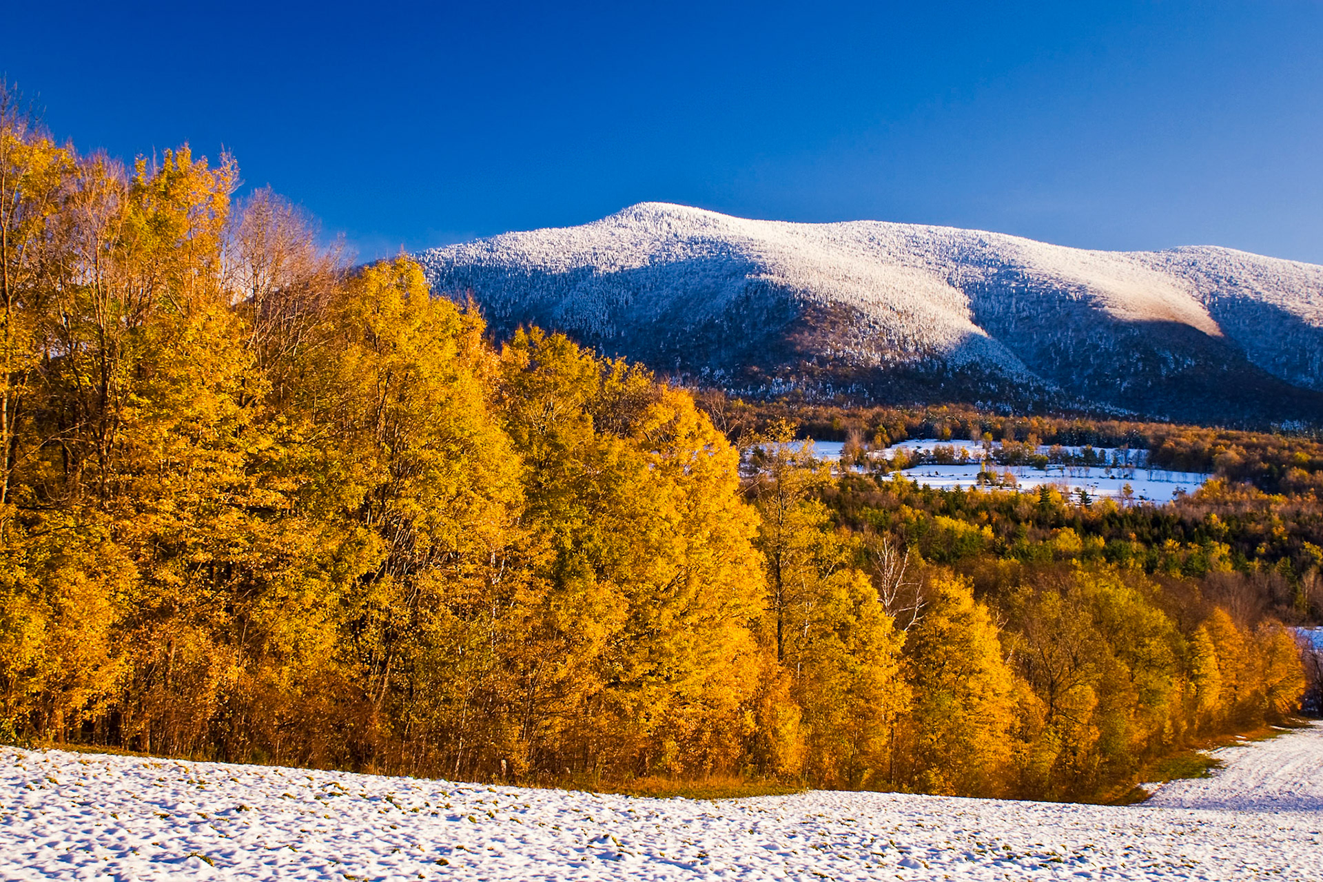 "Play of Color" --Danby