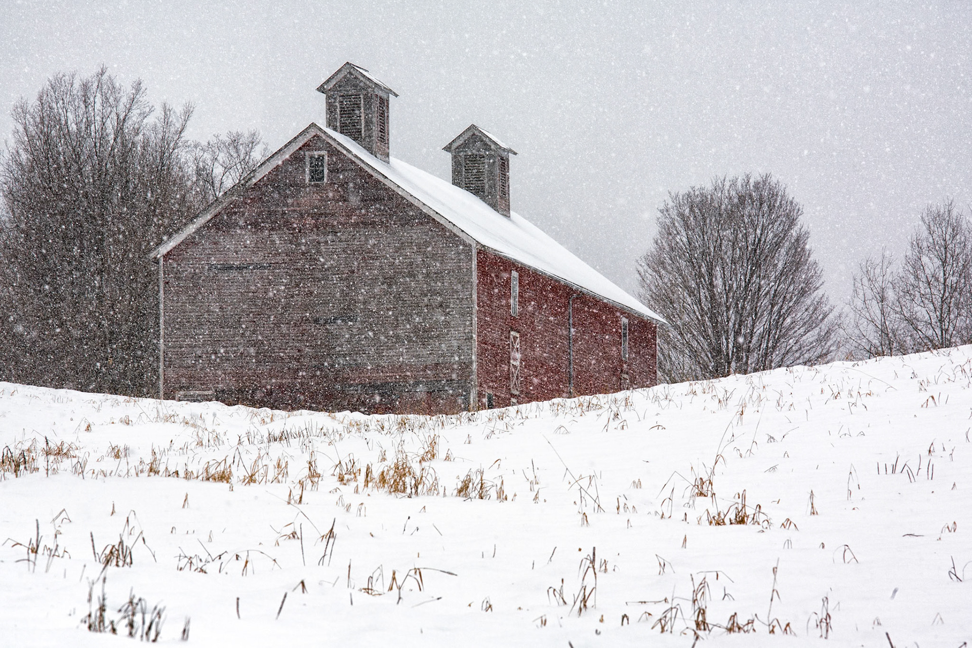 "January Snowfall" --Tinmouth