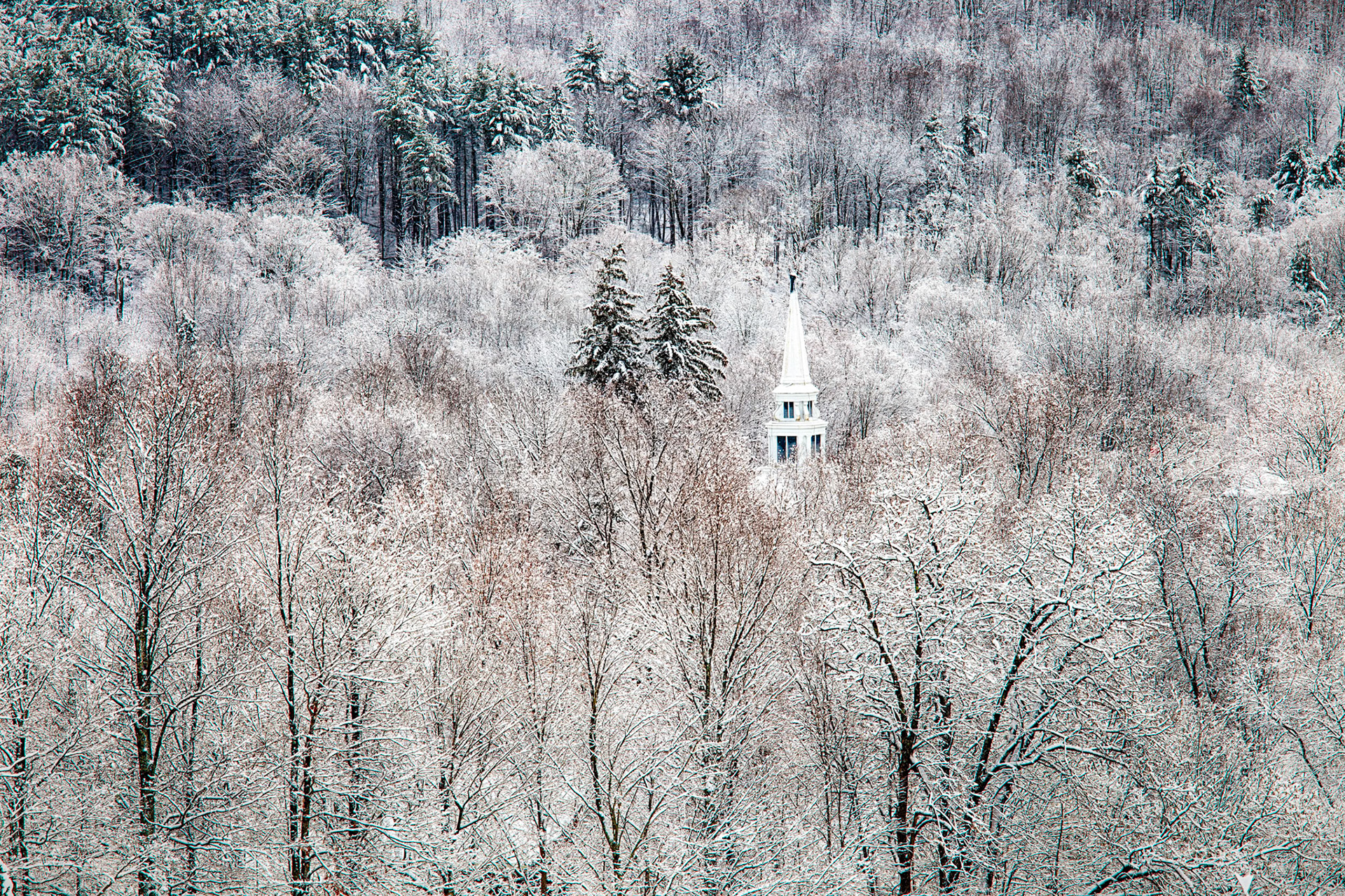 "Winter White" --Middletown Springs