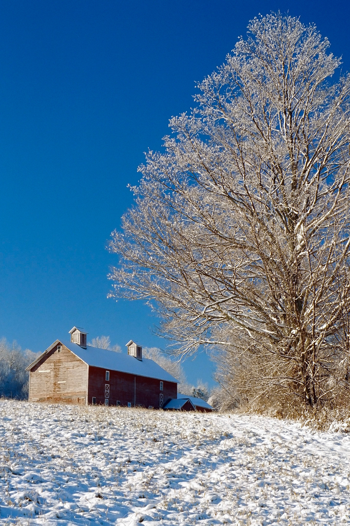 "After the Storm" --Tinmouth