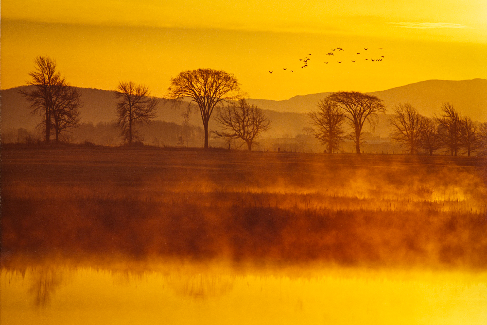 "Dead Creek" --Addison
