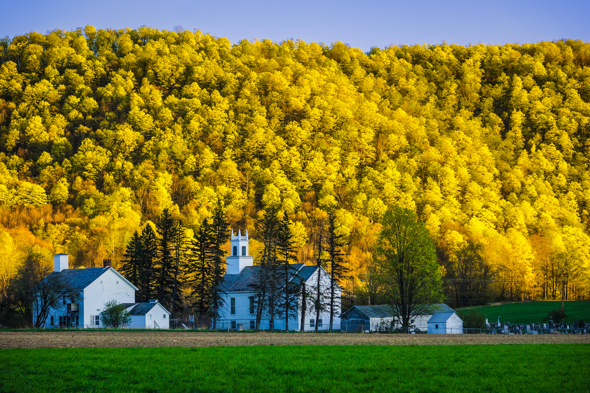 "Spring Hillside" --West Rupert