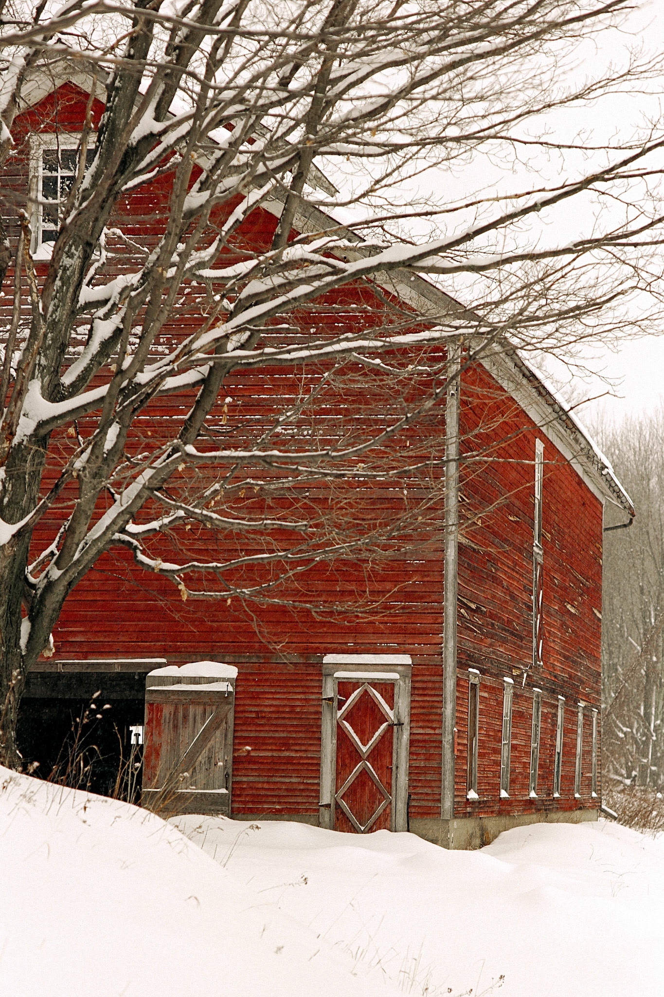 "Barn Door" --Tinmouth