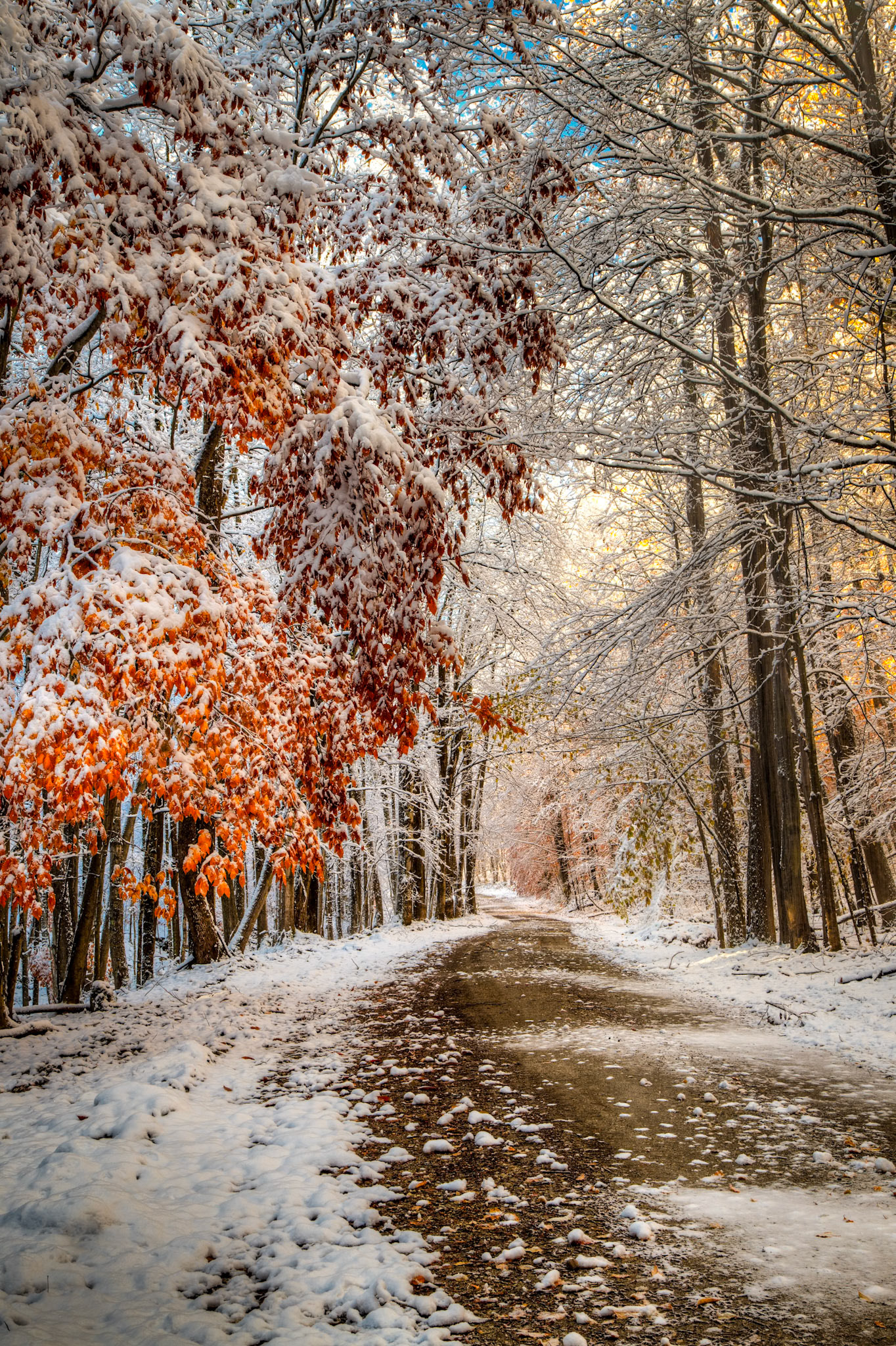 "Road North" --Danby