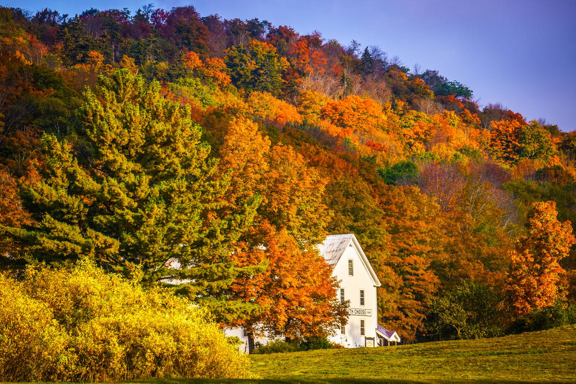 "Plymouth Cheese Factory"