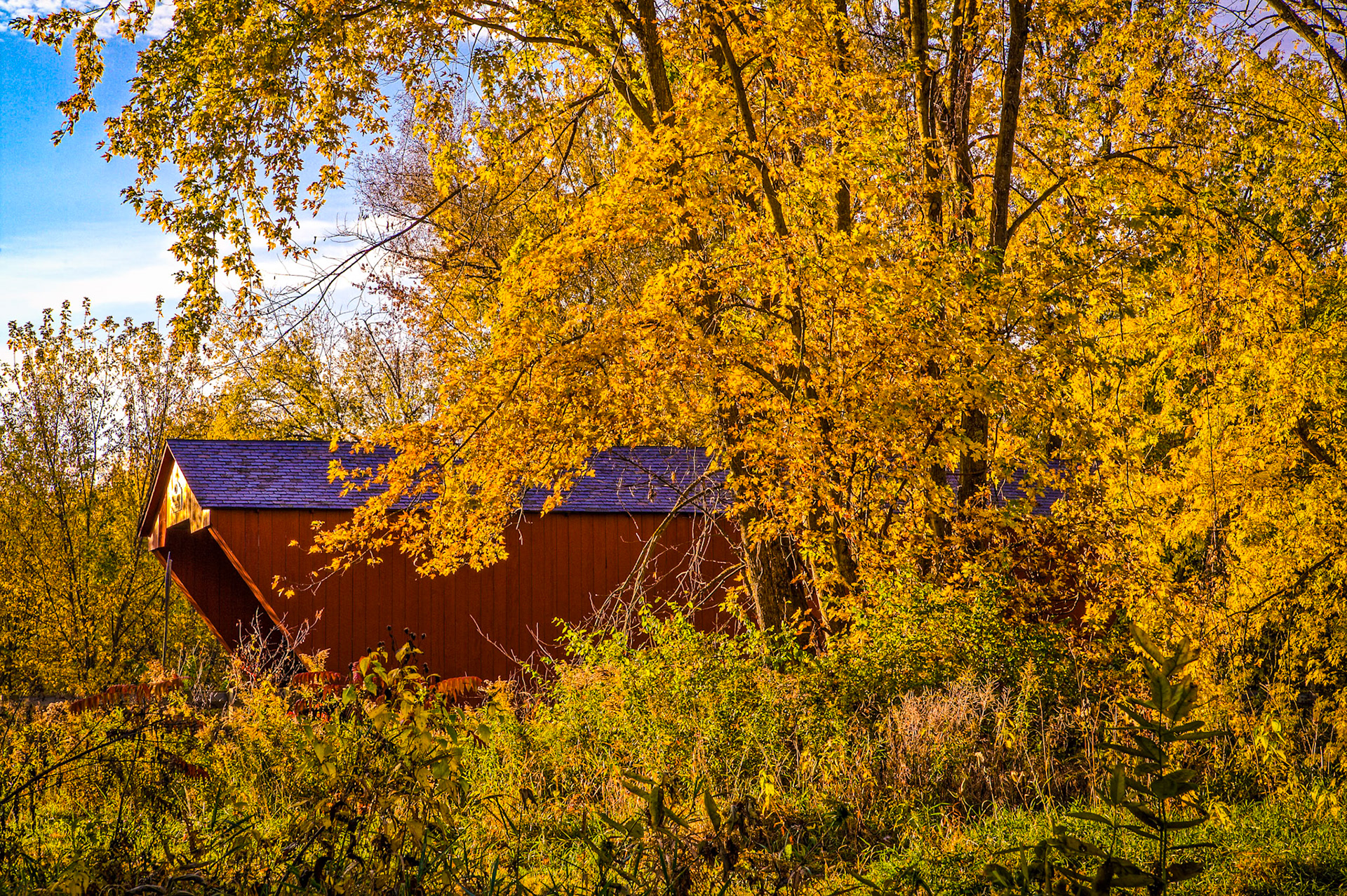 "Fall at Cooley Bridge" --Pittsford