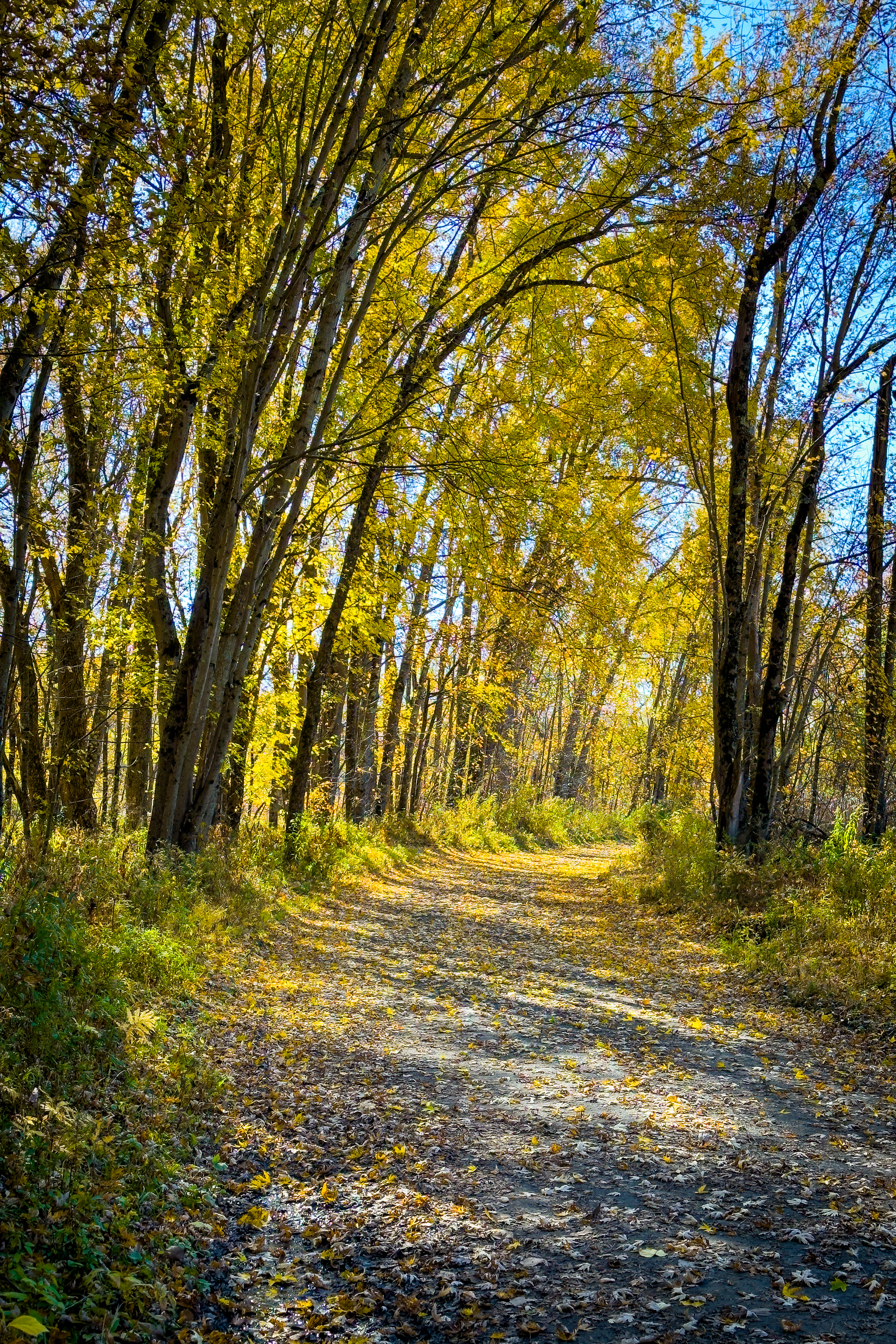 "Gravel Ride" --West Haven
