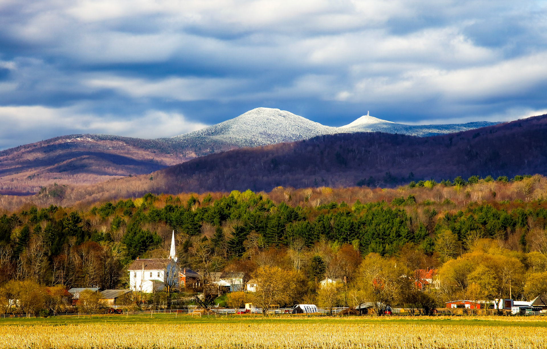 "Distant Snow" --Clarendon