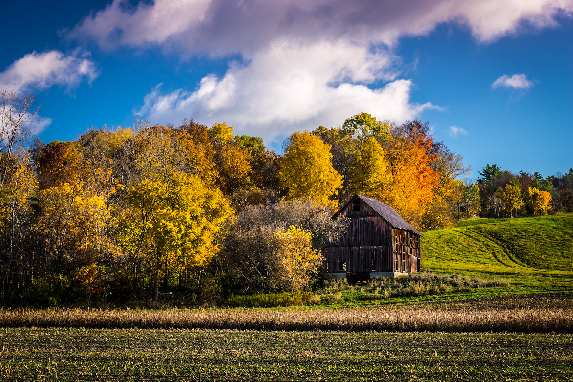 "Autumn Landscape" --West Haven