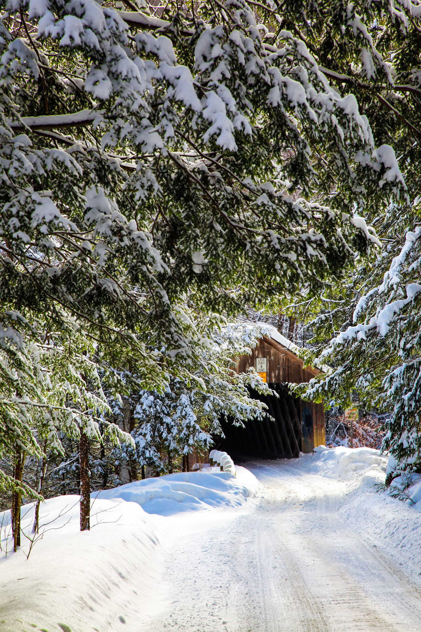"Down a Winter Road" --Shrewsbury