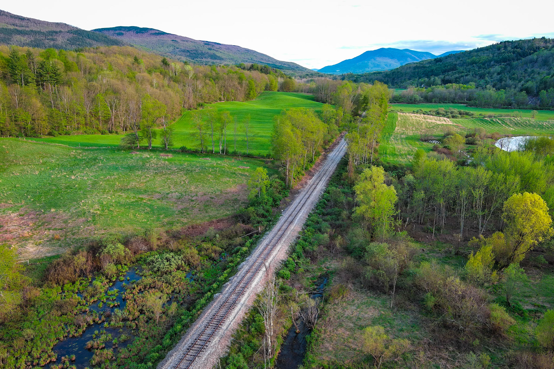 "Straight and Narrow" --Danby