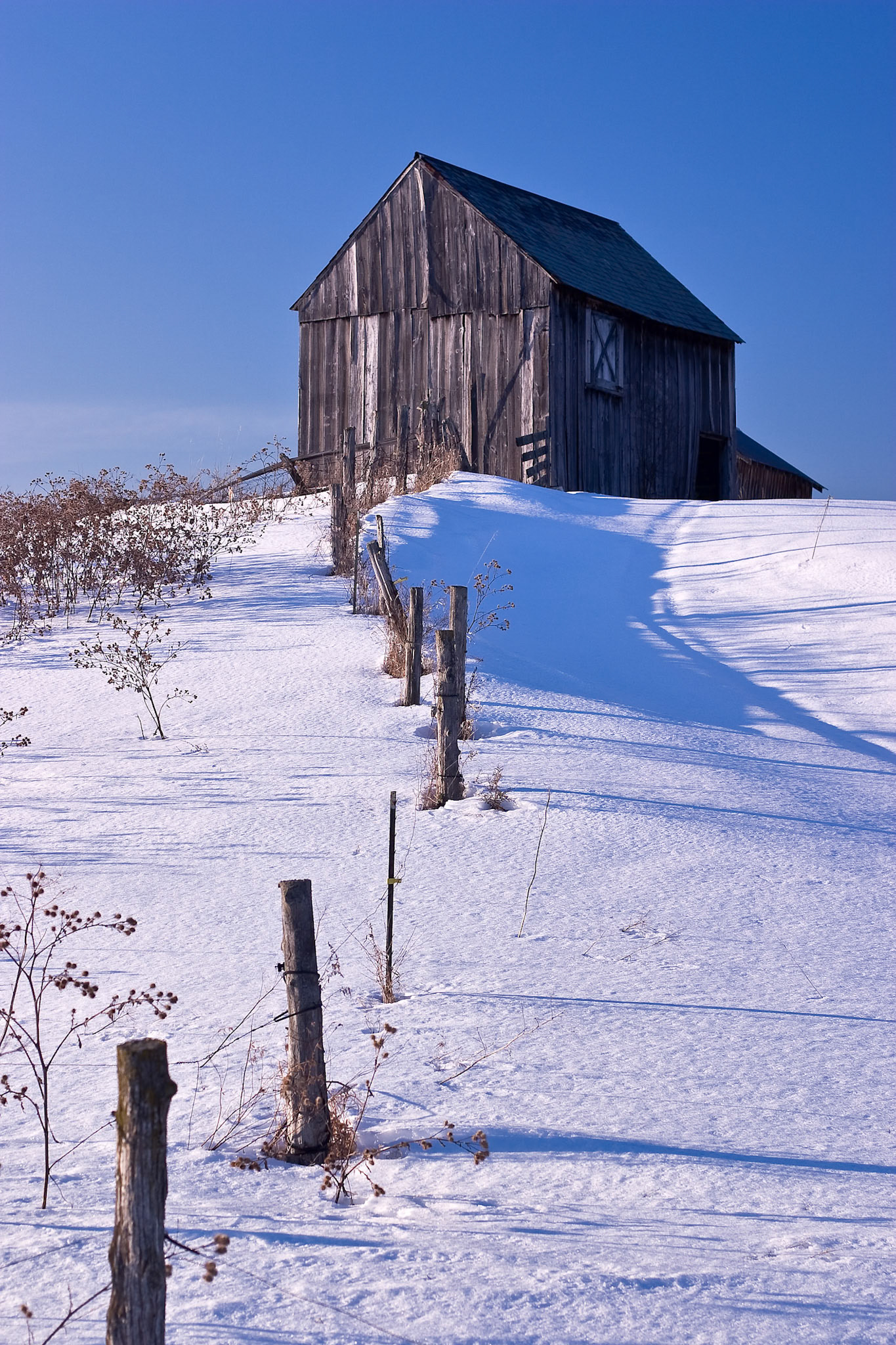 "Winter Afternoon" --Bensen