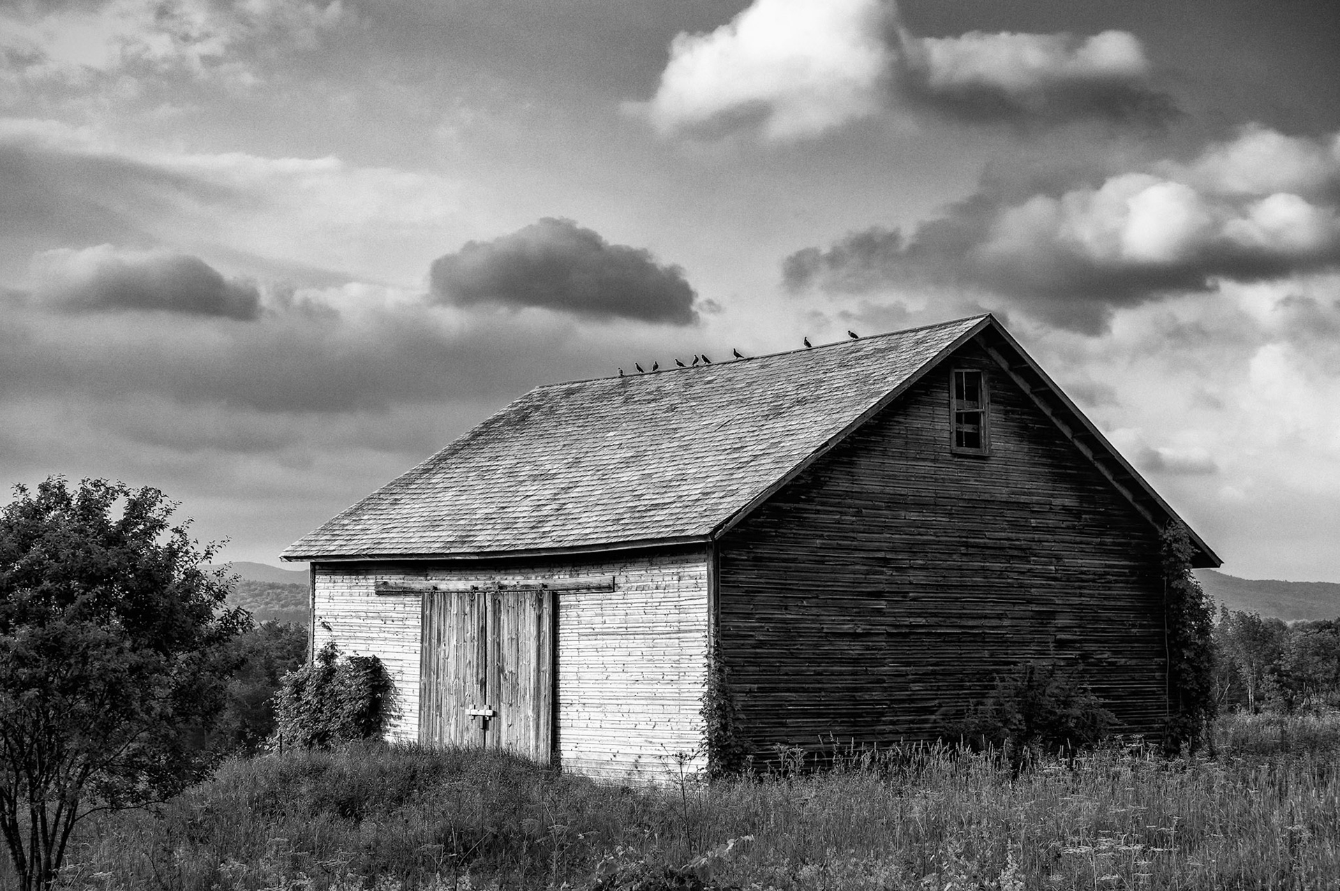 "Pigeon Perch" --Tinmouth