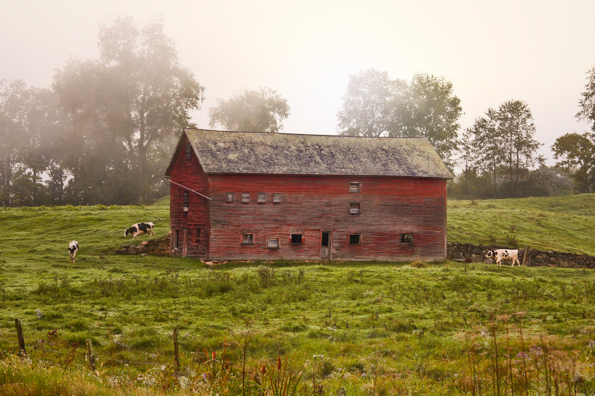"Coming and Going" --Wallingford