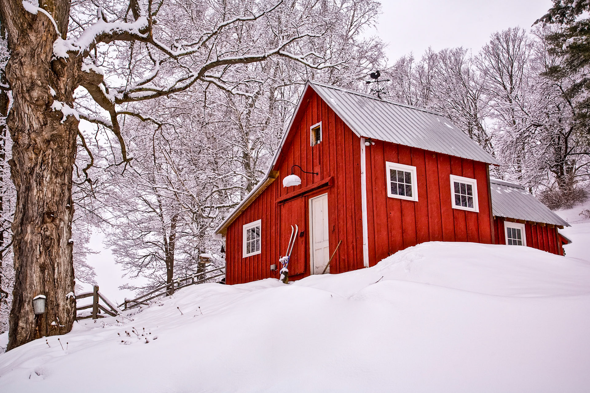 "Skier's Palace" --Woodstock