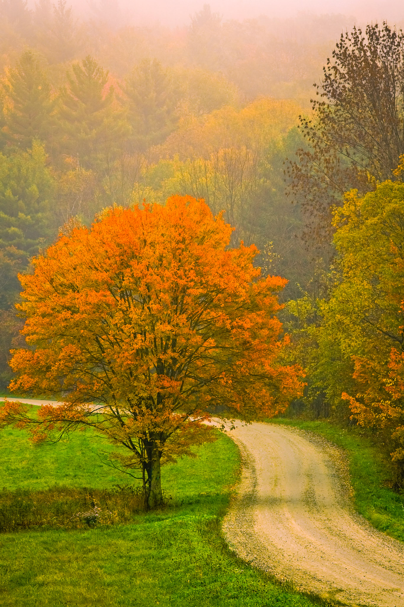 "Autumn Turns" --Pittsford
