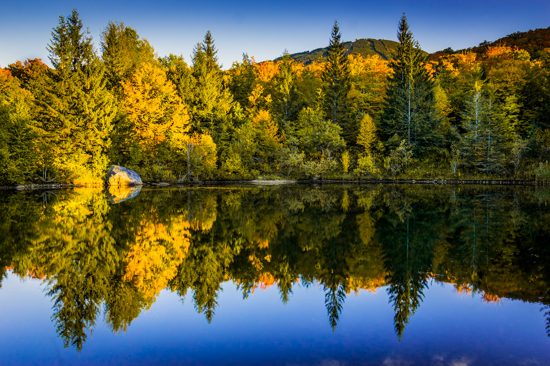 "Pre-Season" --Mendon
