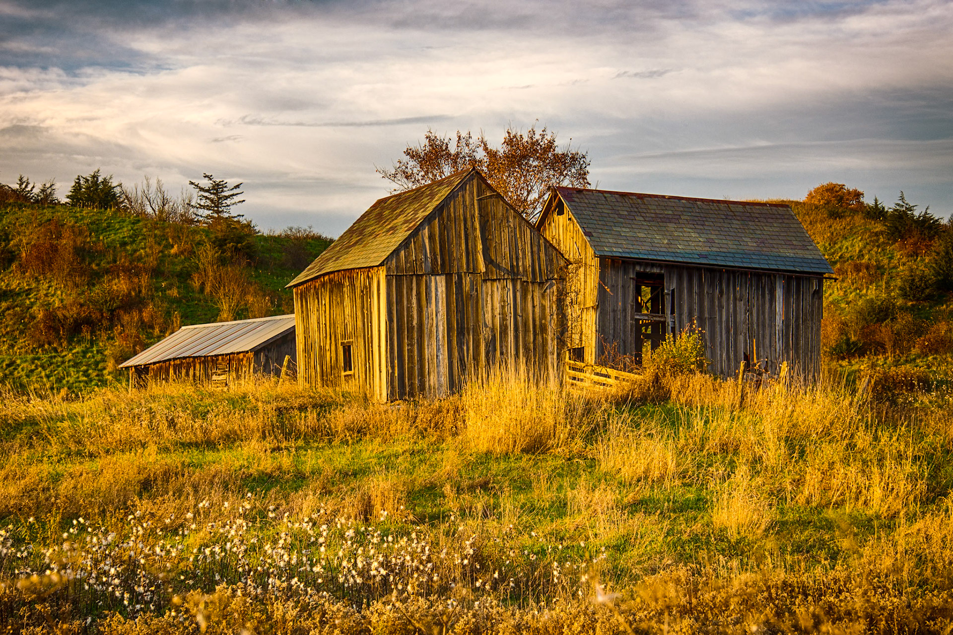 "Rustic Setting" --Bensen