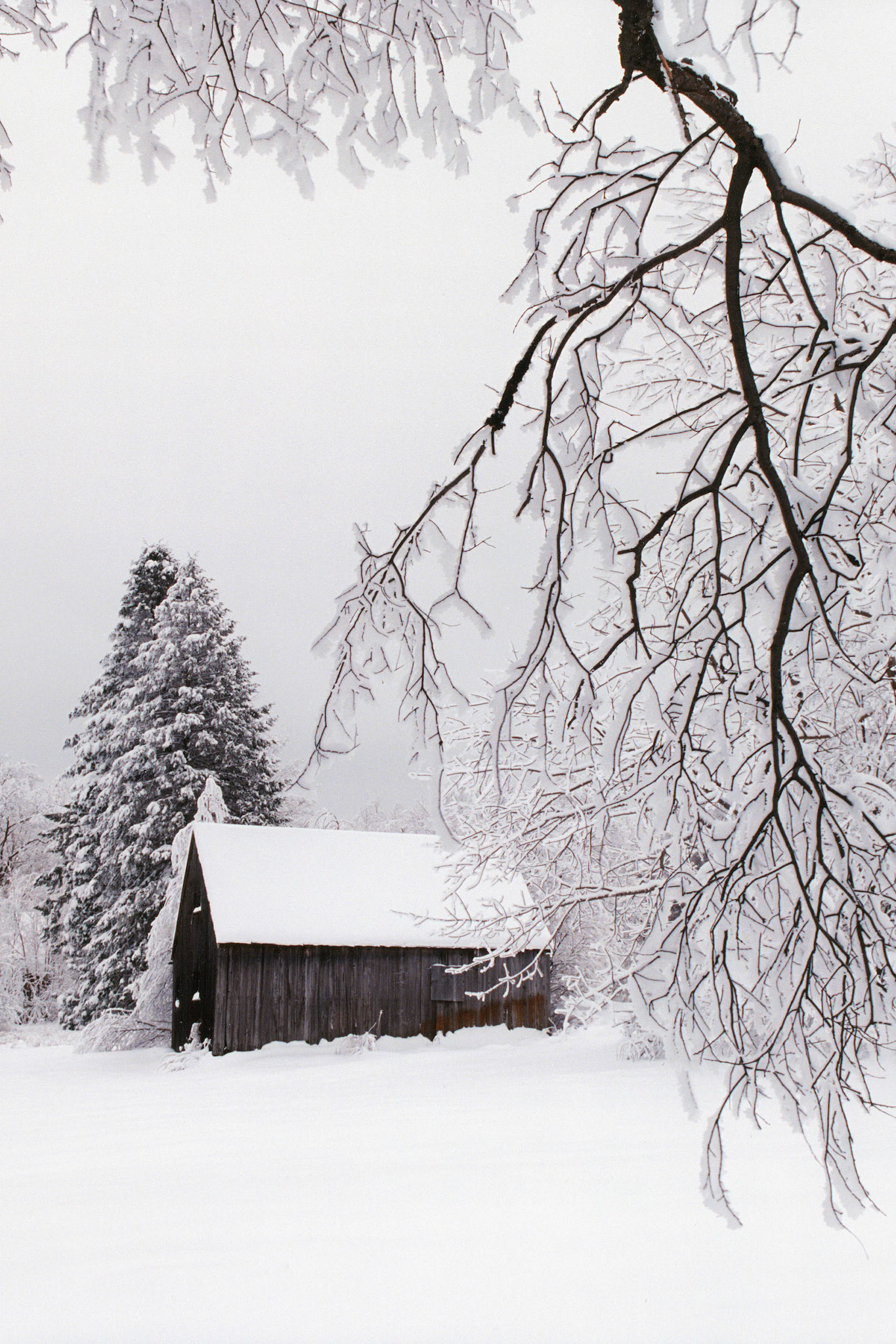 "Winter Composition" --Mendon