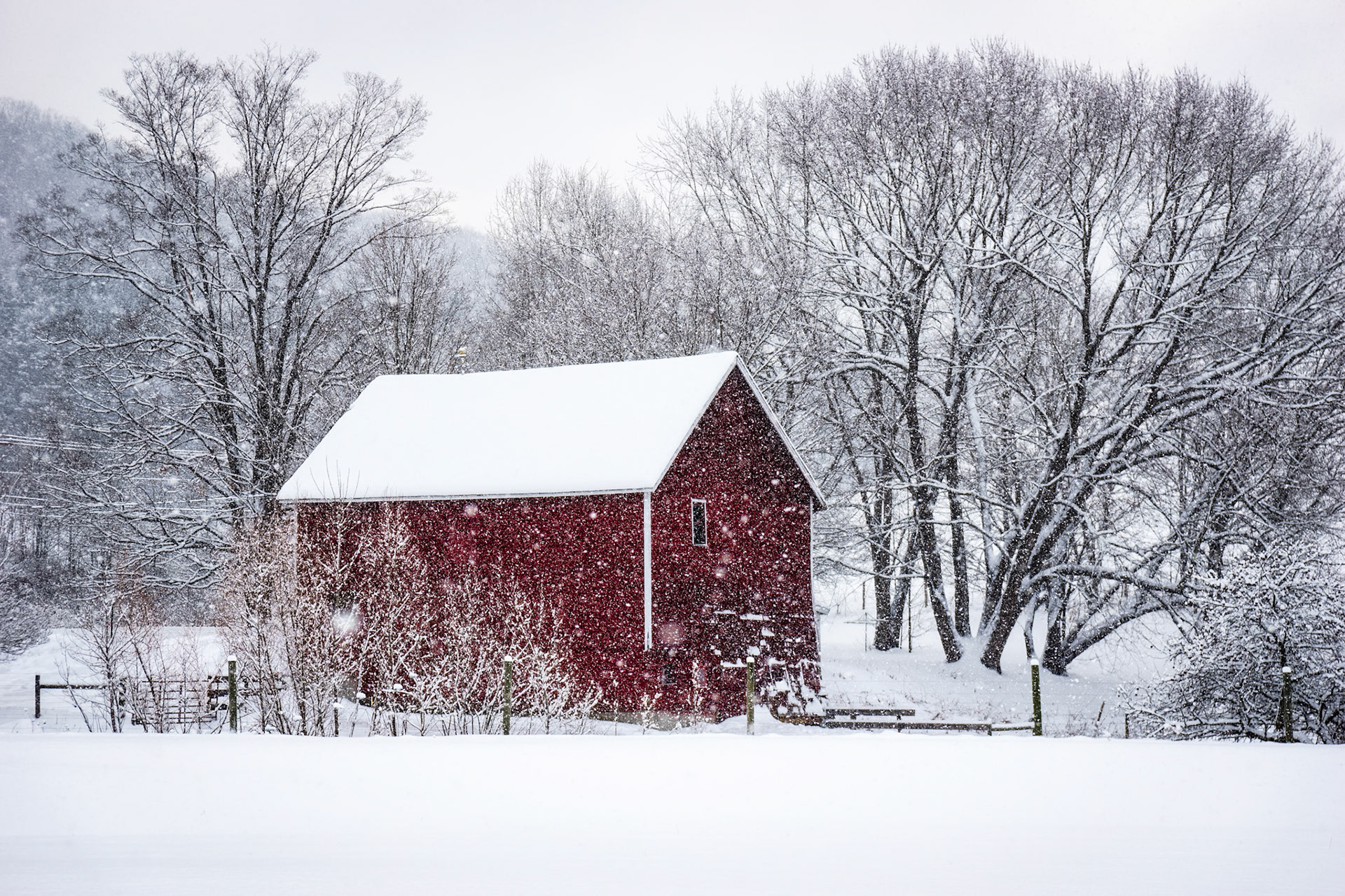"Falling Snow" --Middletown Springs