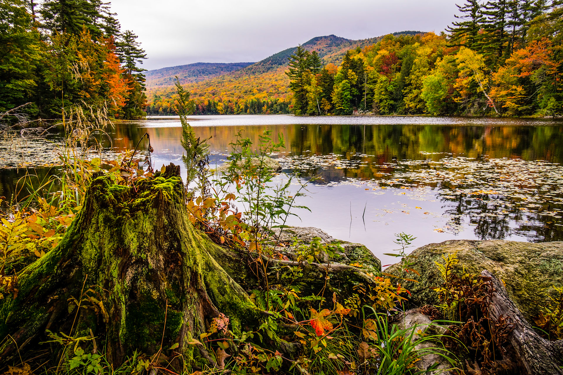 "Colors in Nature" --Lefferts Pond, Chittenden