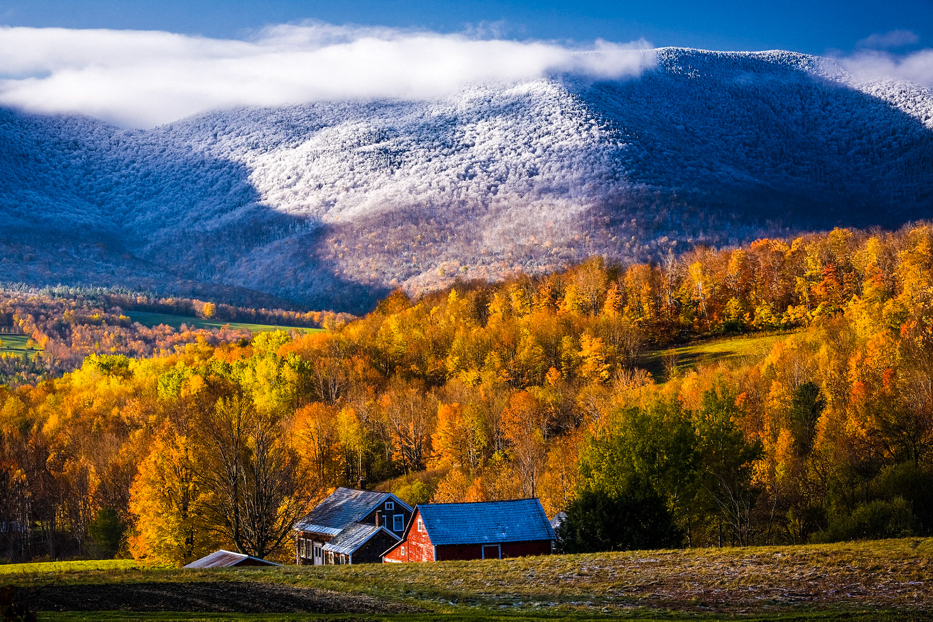 "Winter's Arrival" --Danby