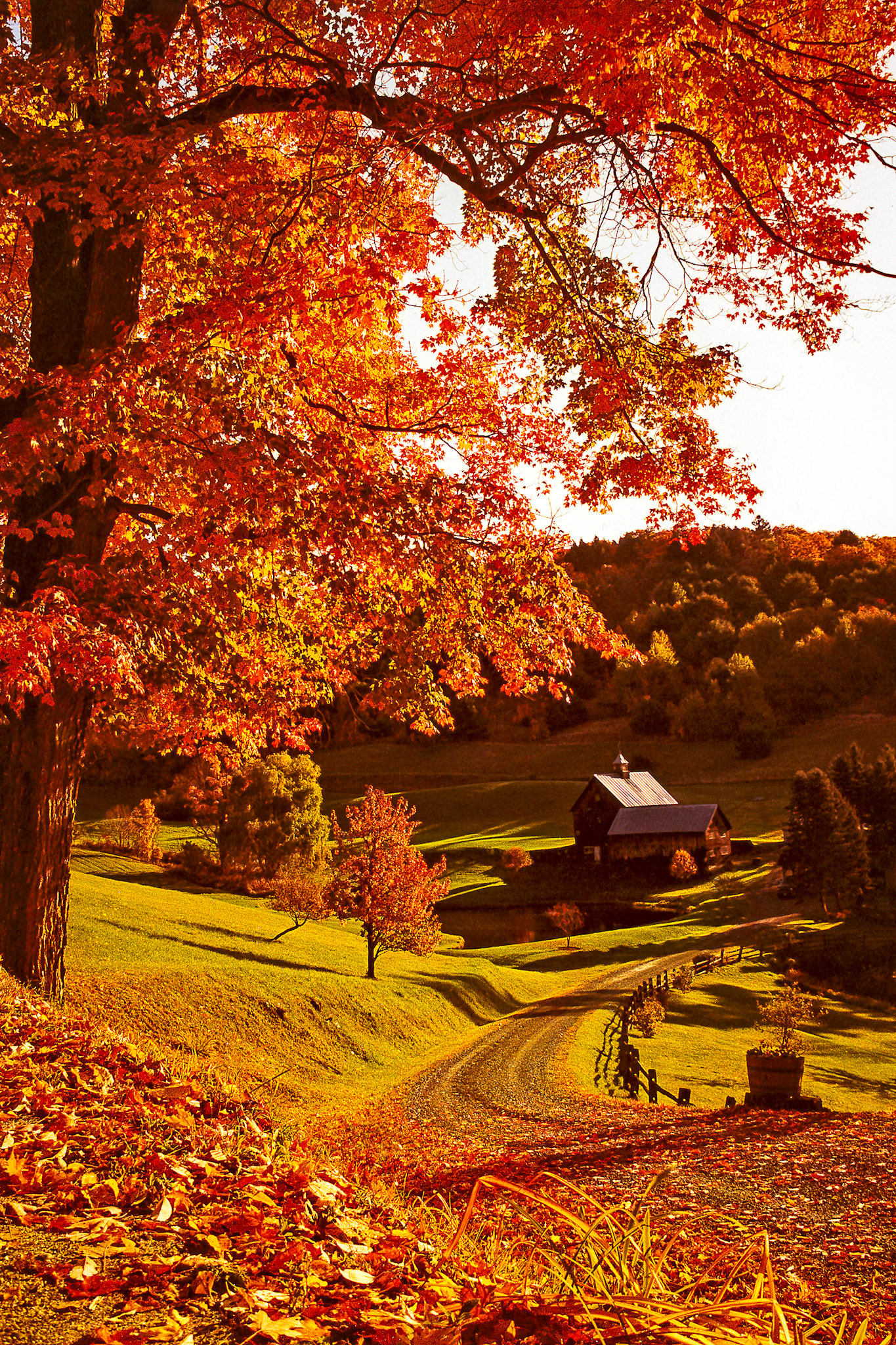 "Gentleman's Farm" --Woodstock